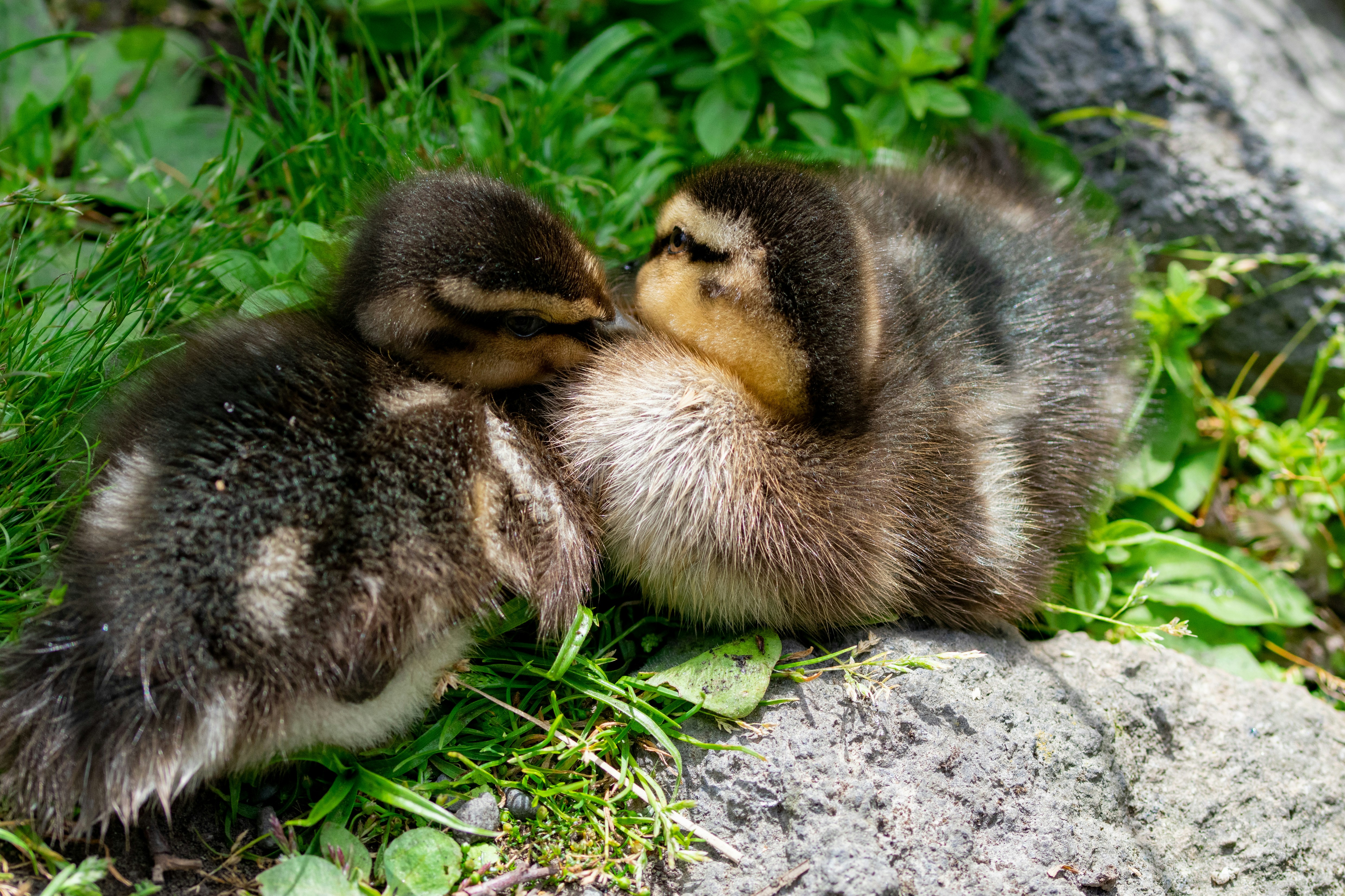 Photo by ellephant_photography