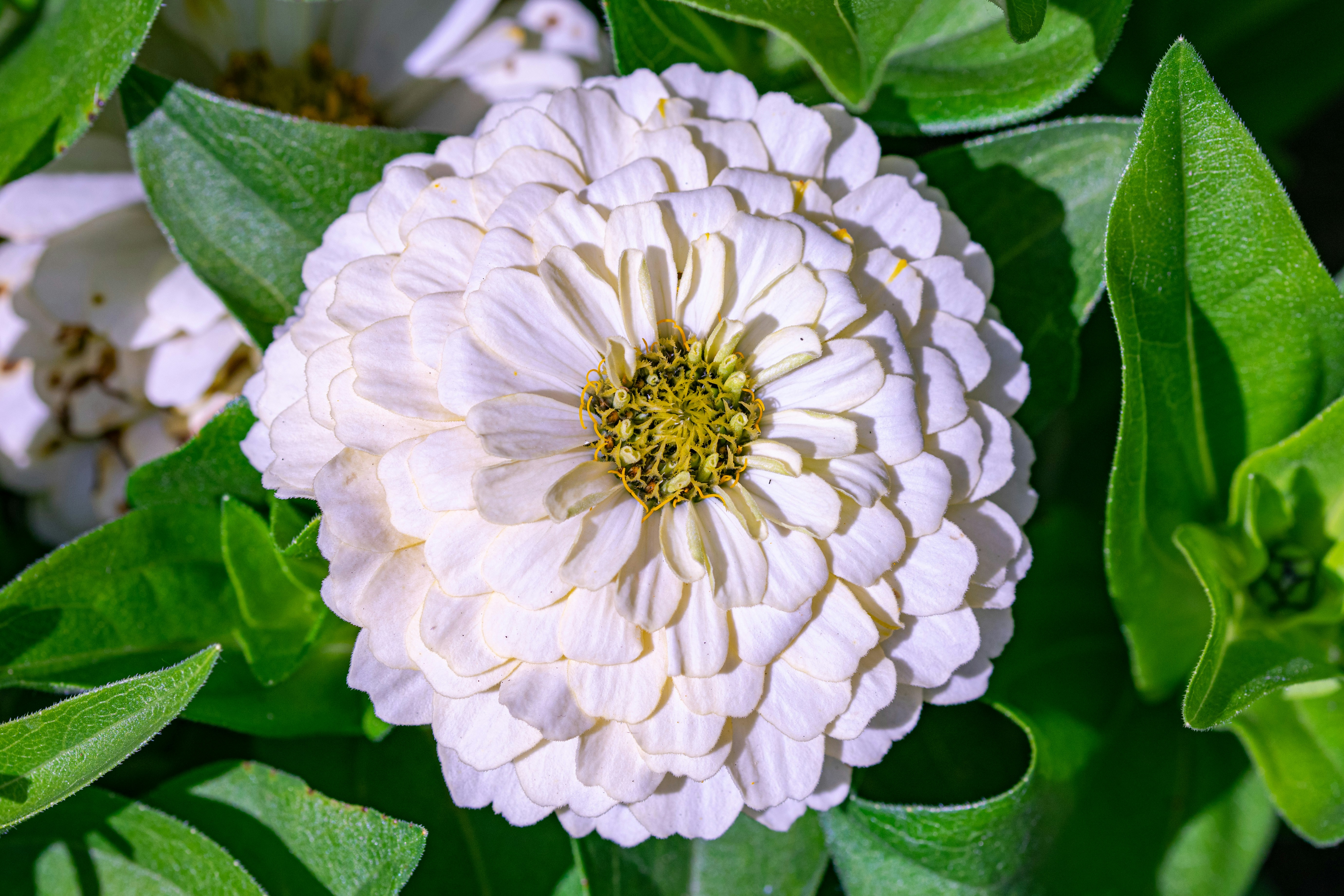 Photo by ellephant_photography