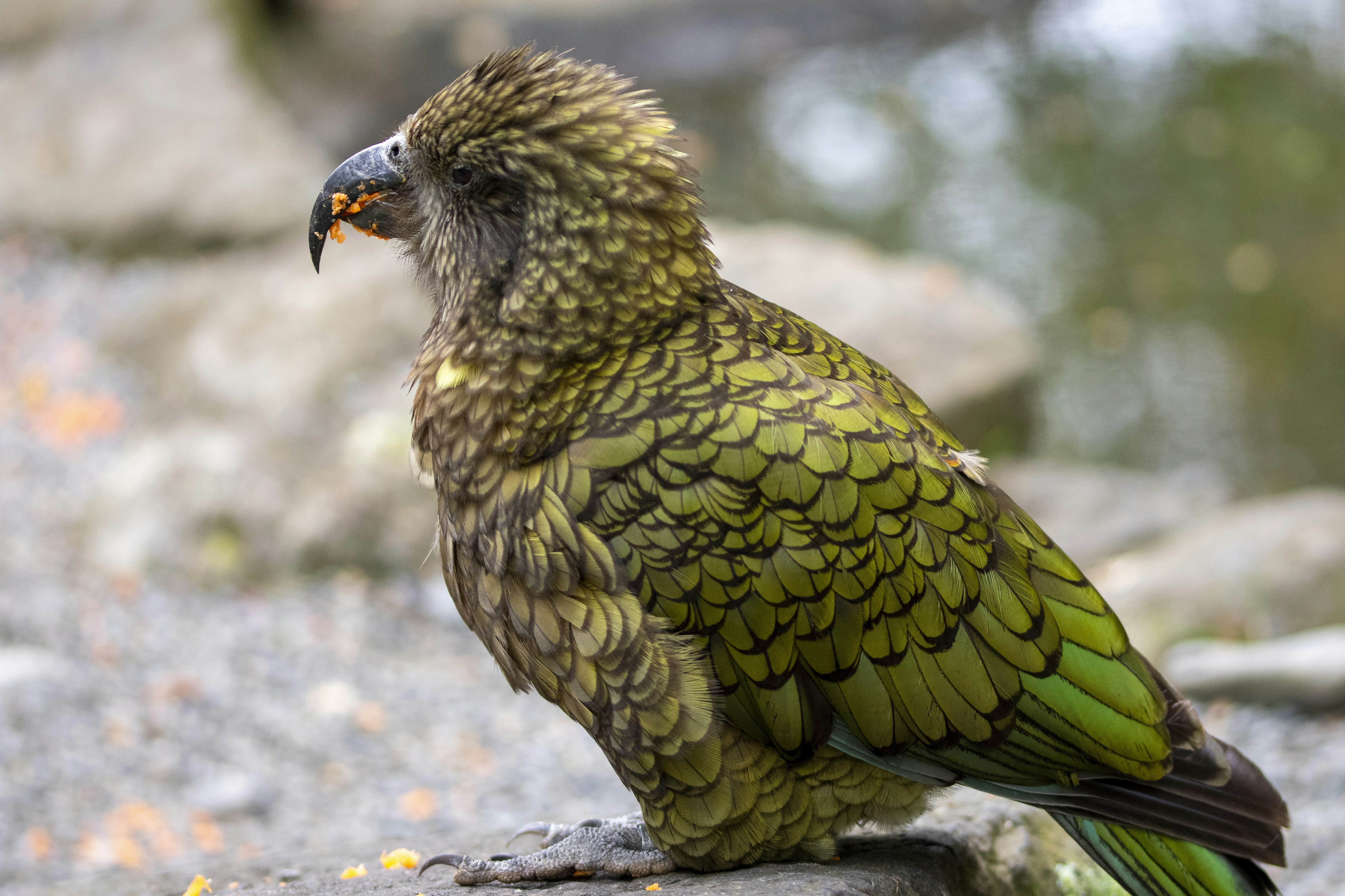 Photo by ellephant_photography