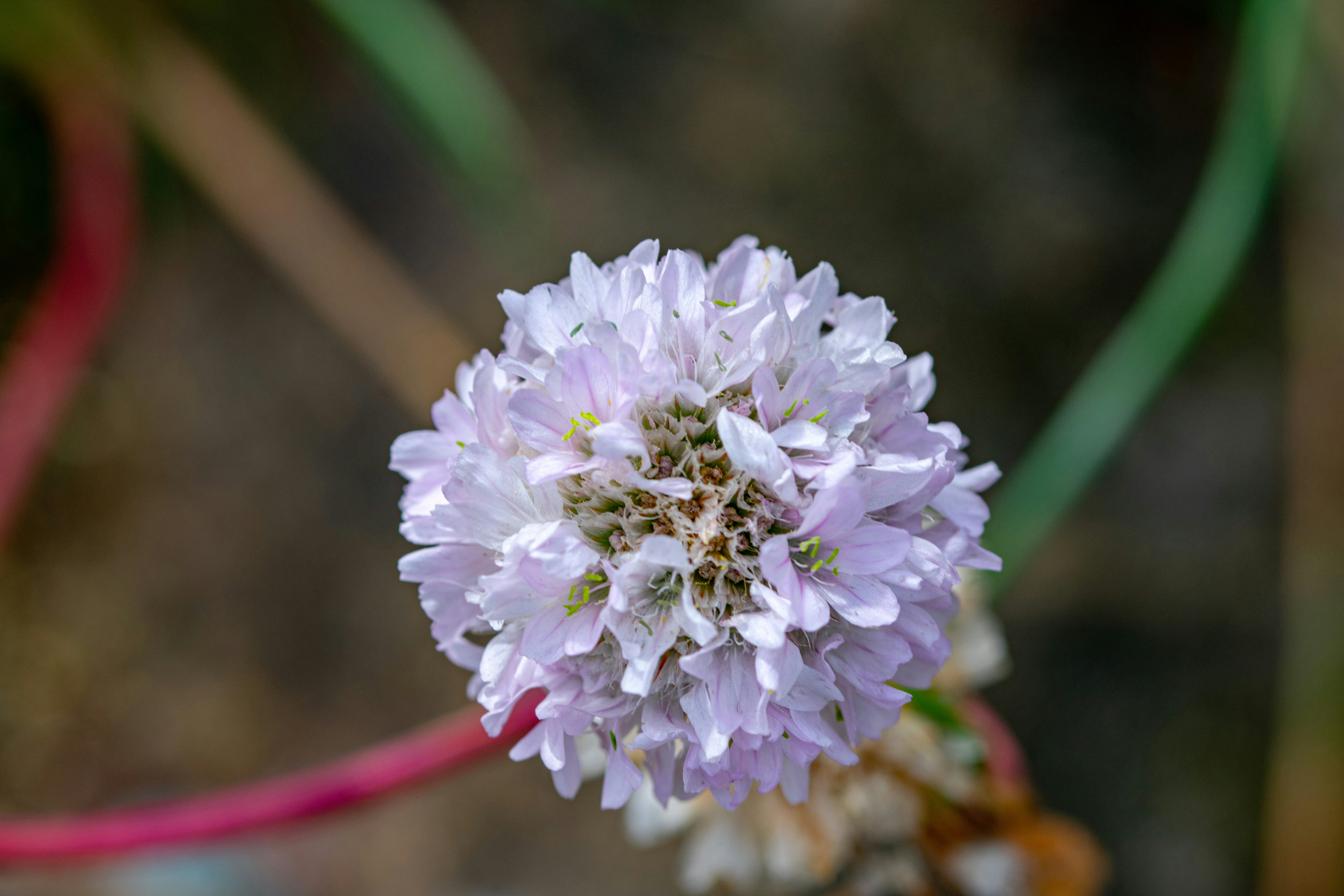 Photo by ellephant_photography