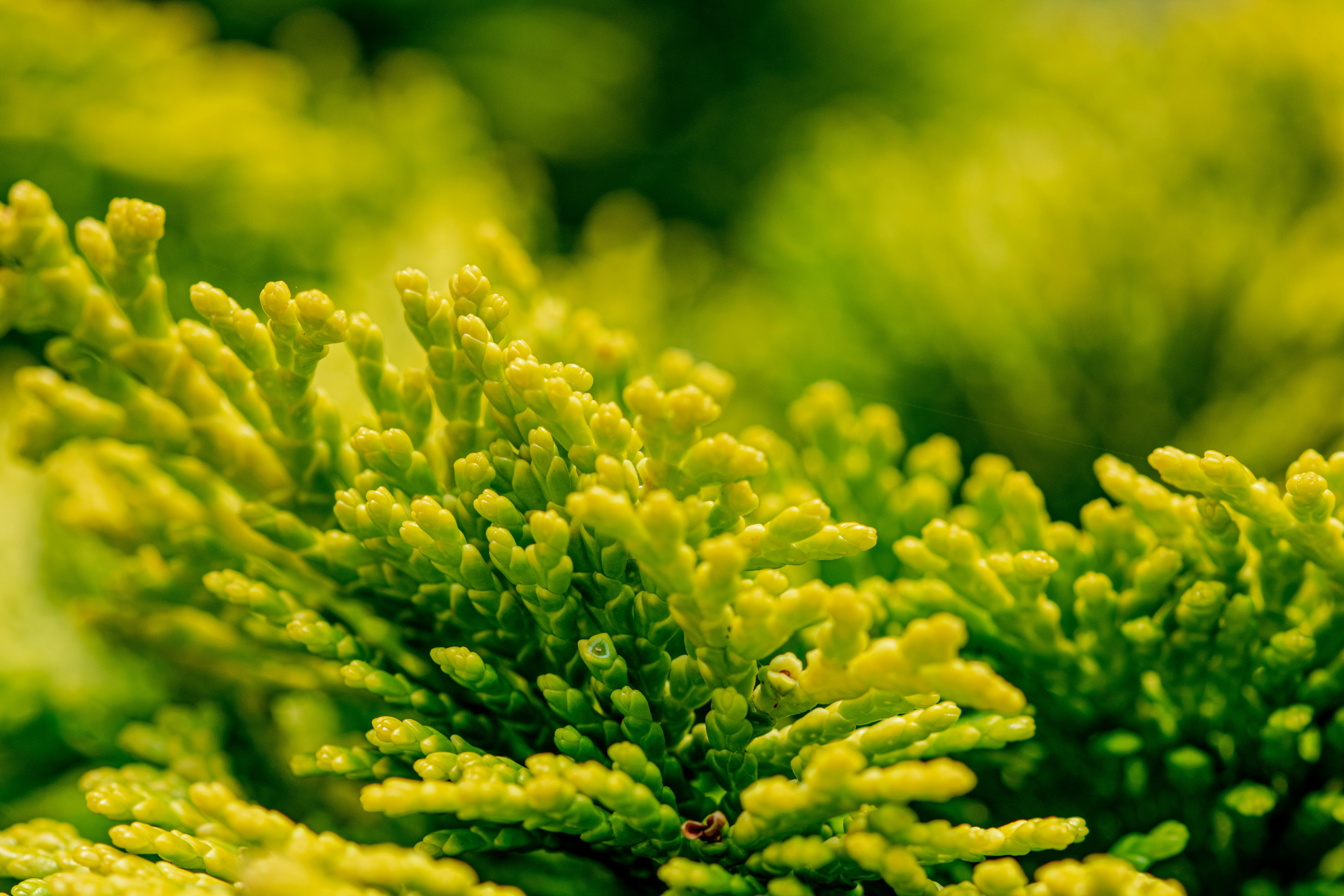 Photo by ellephant_photography