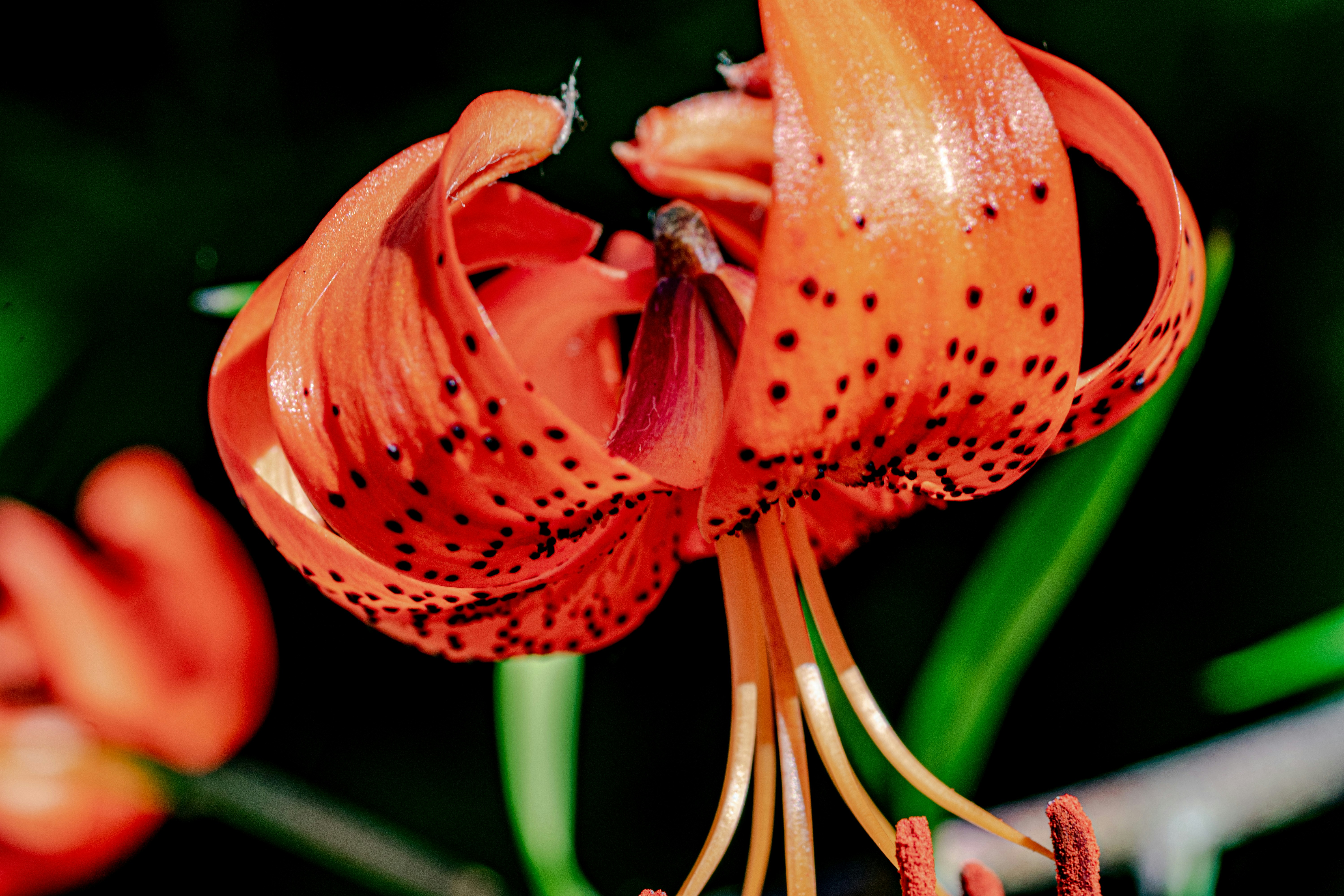 Photo by ellephant_photography