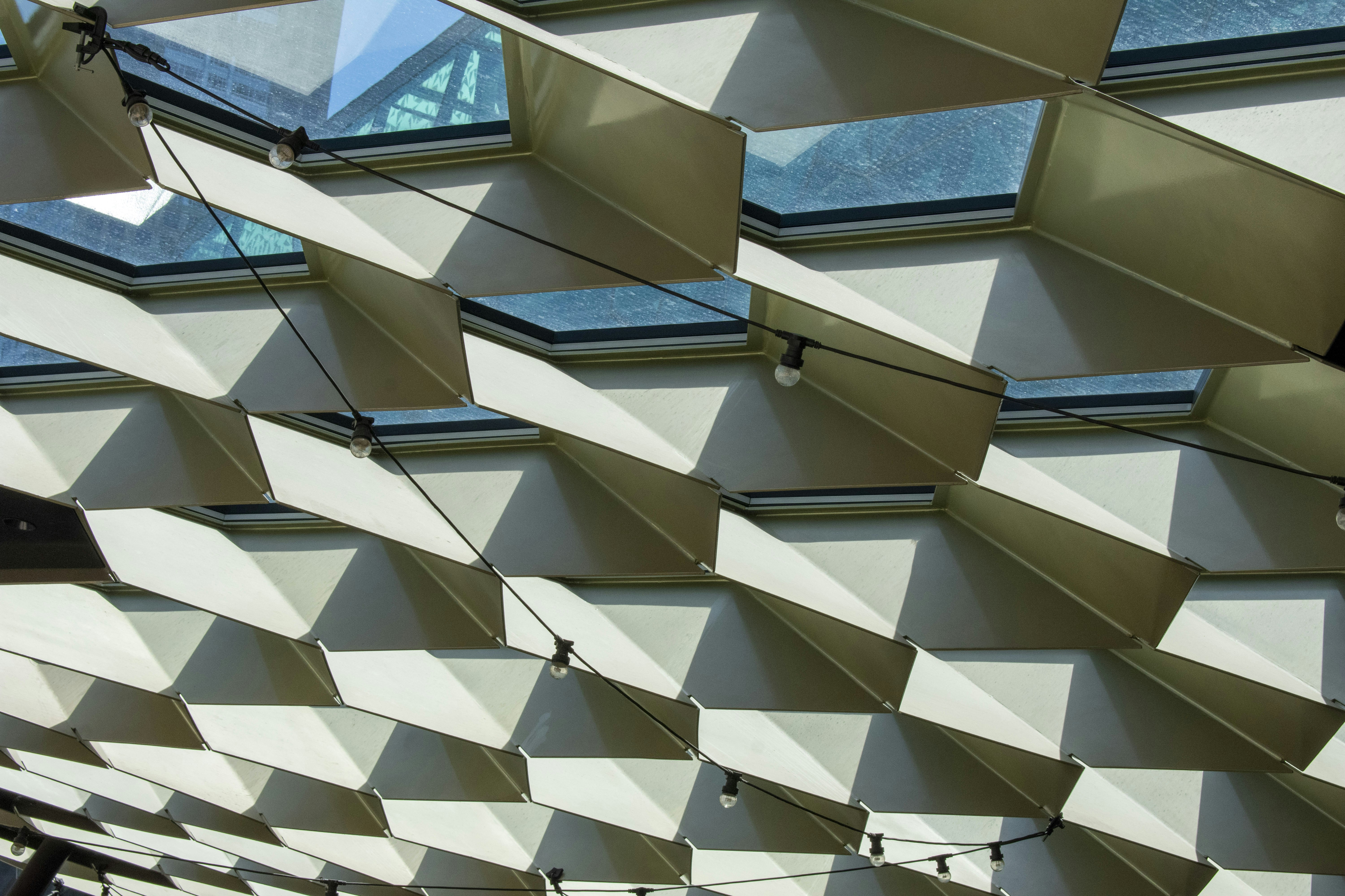 Photo by ellephant_photography