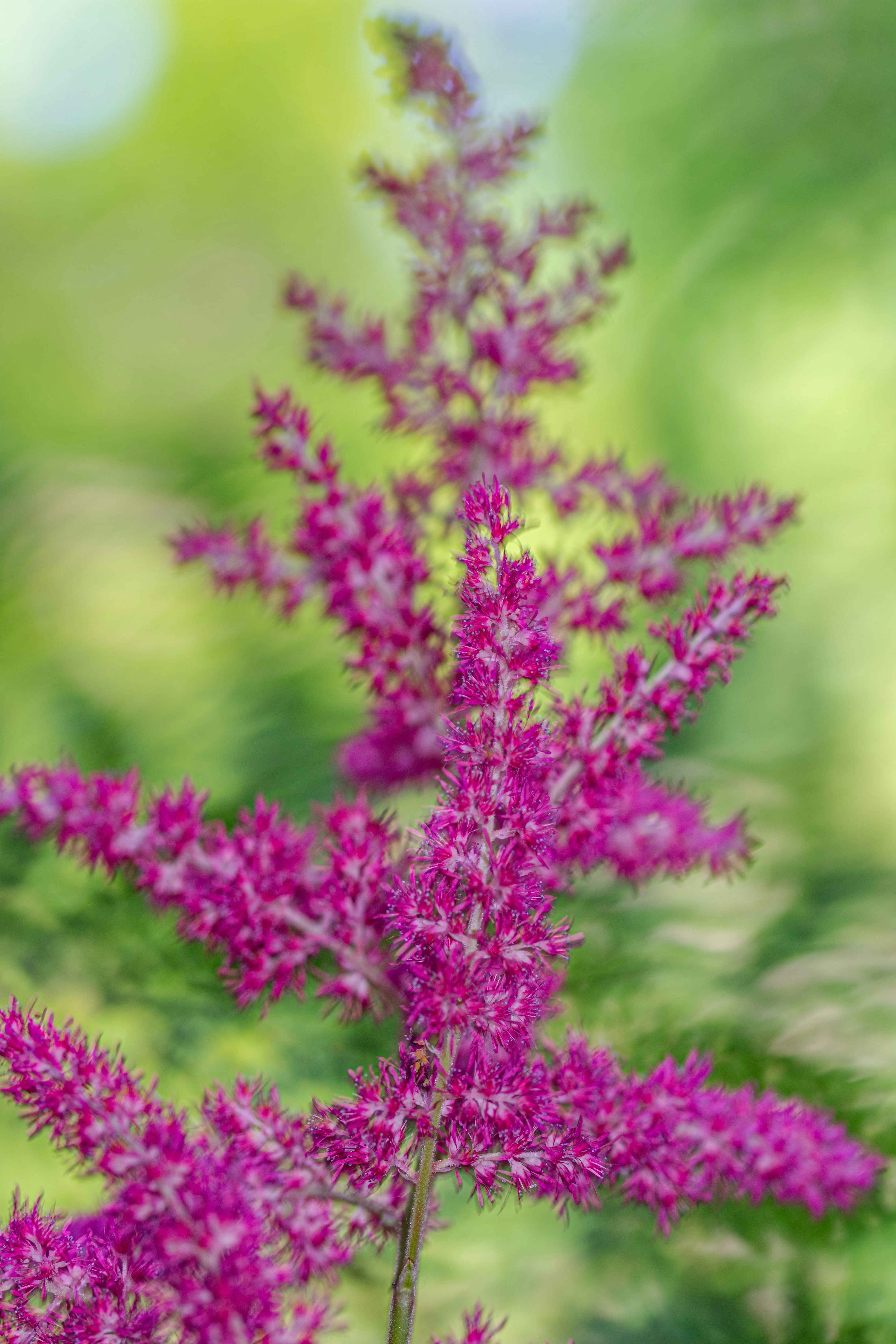 Photo by ellephant_photography