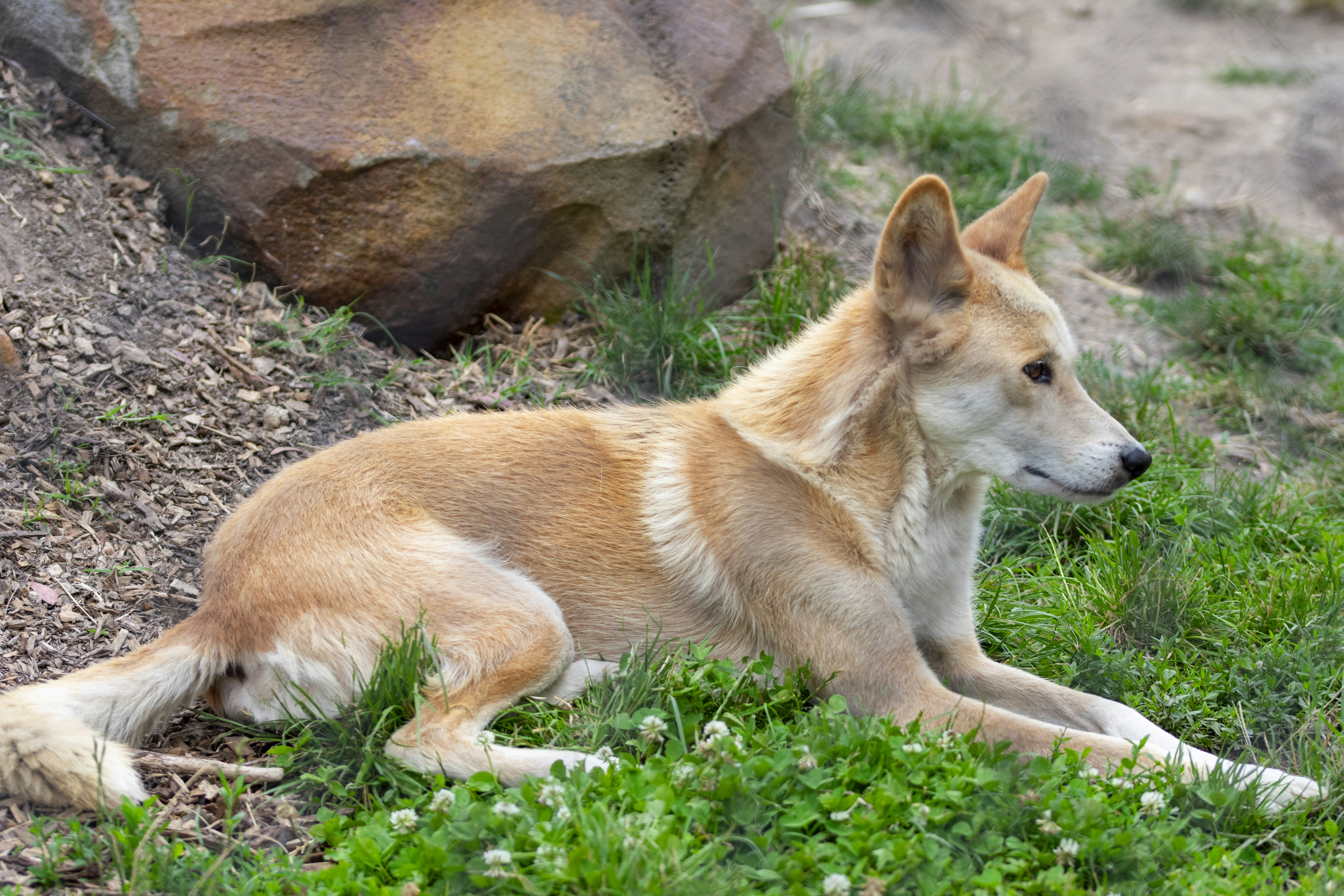 Photo by ellephant_photography