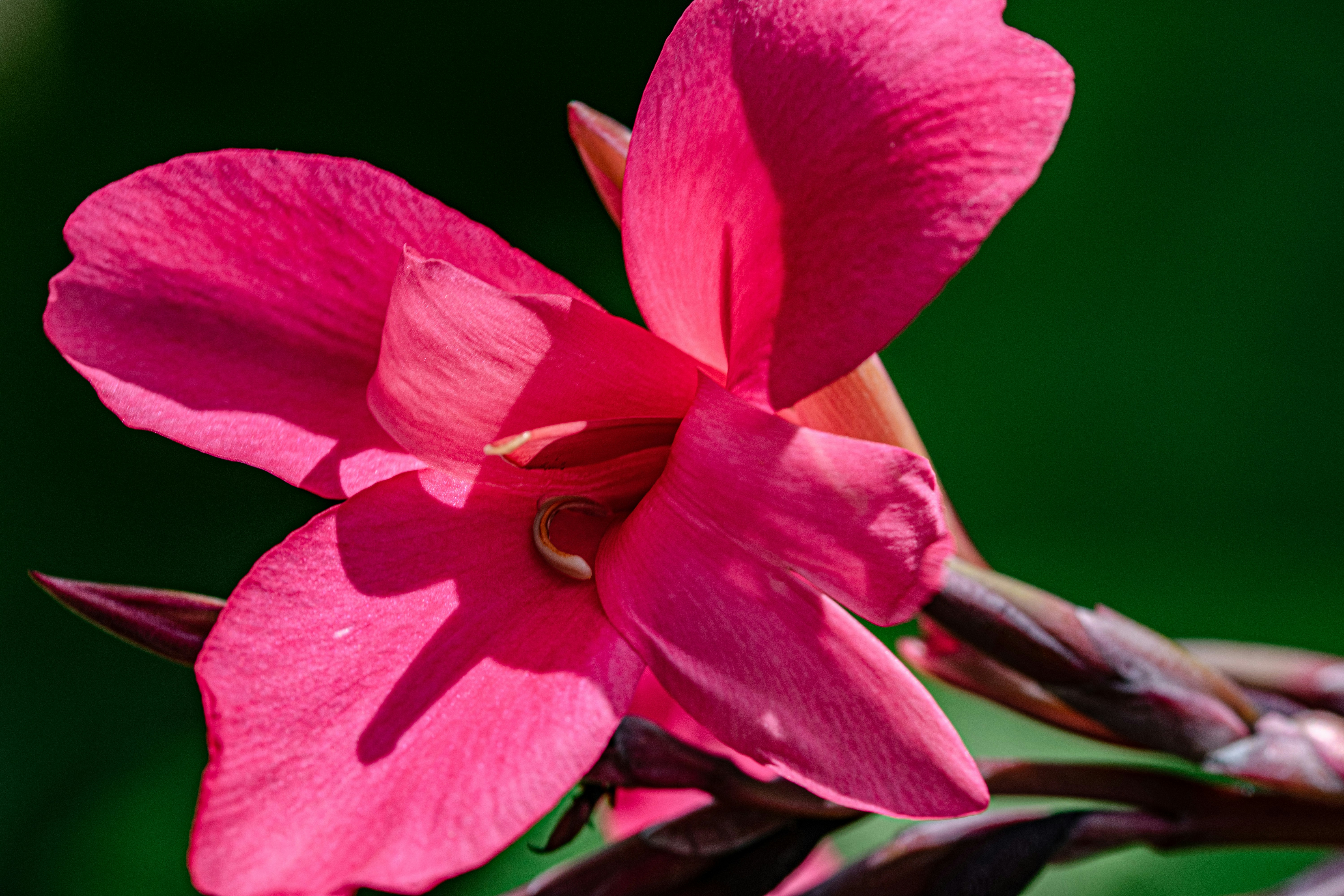 Photo by ellephant_photography