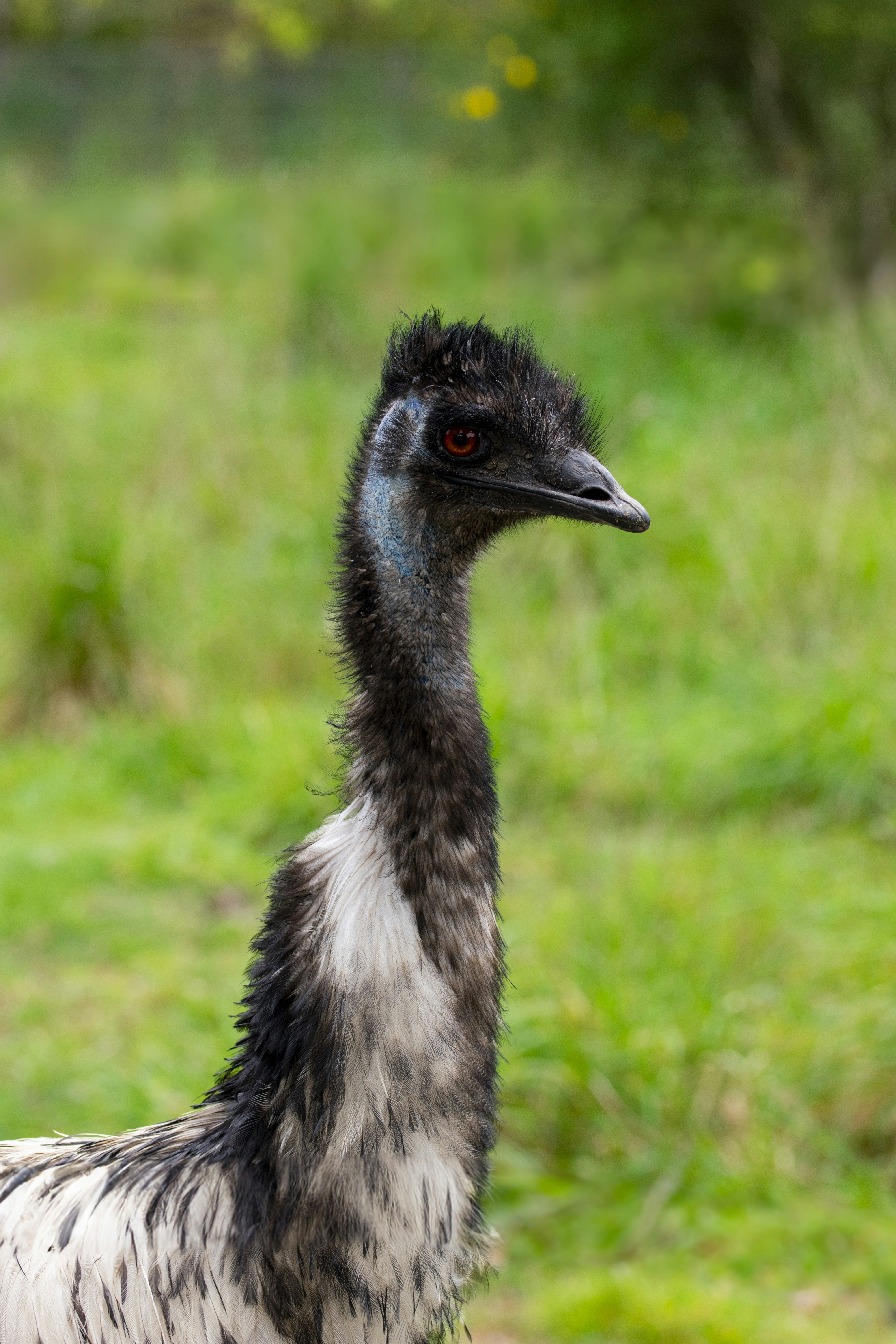 Photo by ellephant_photography