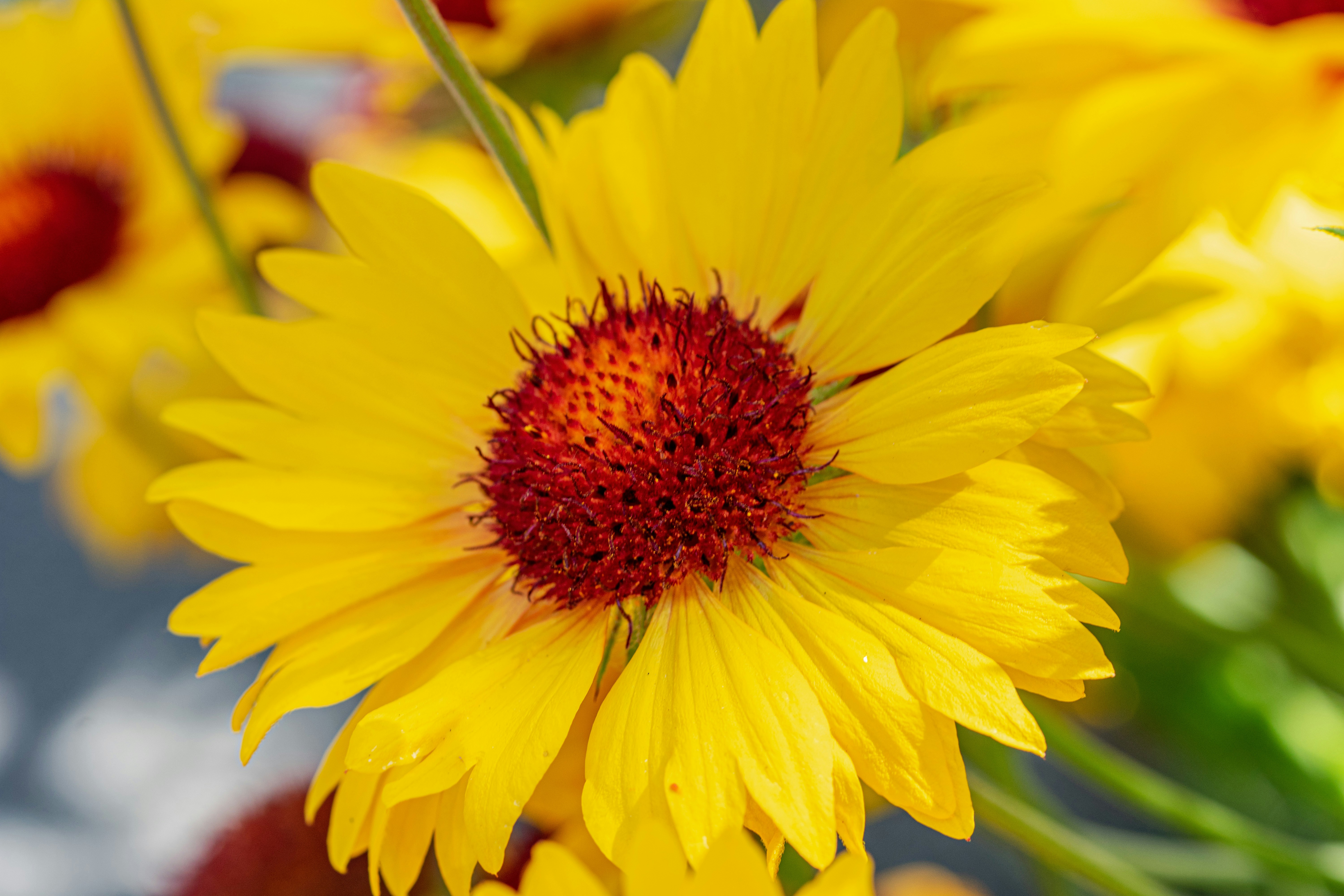 Photo by ellephant_photography