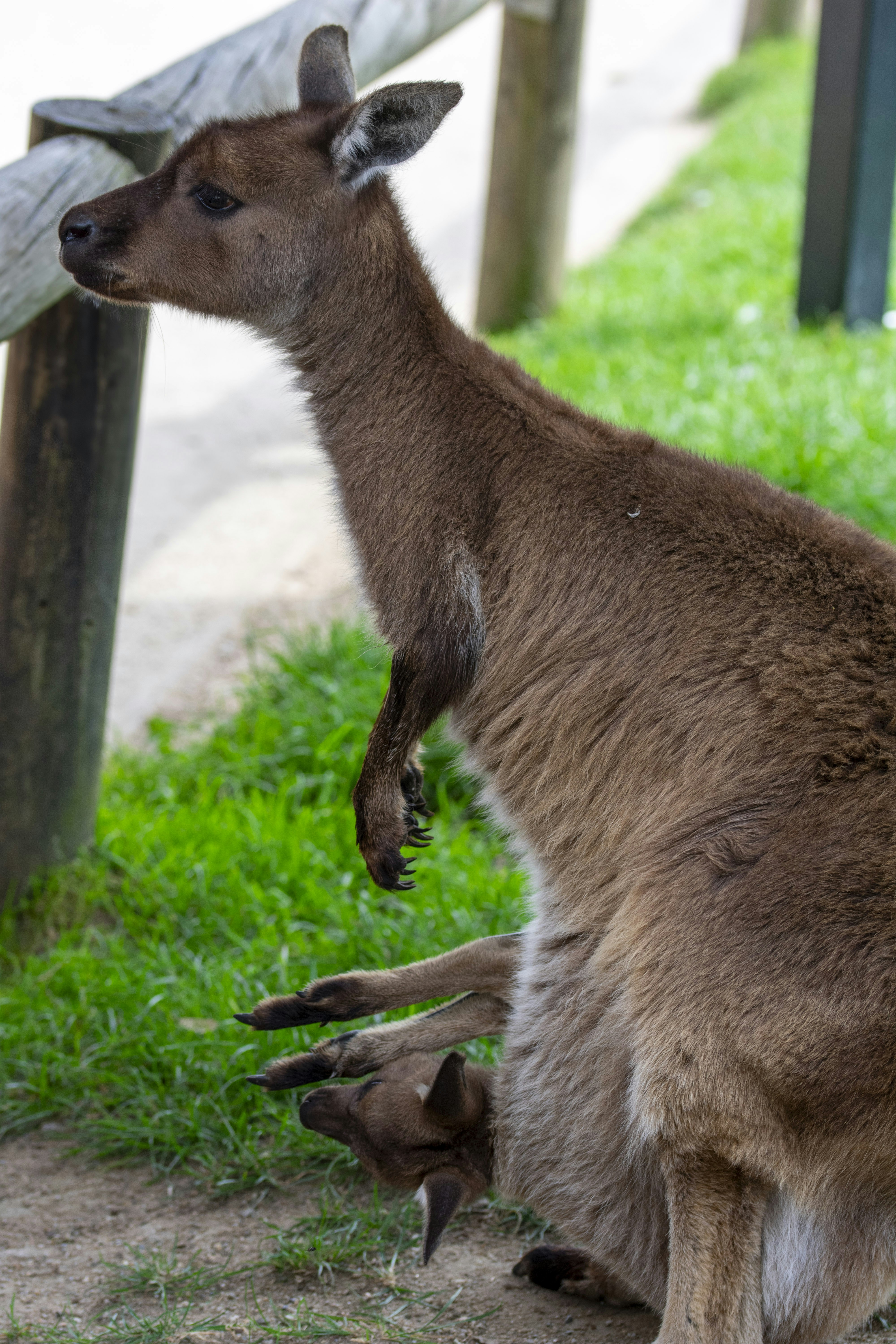 Photo by ellephant_photography