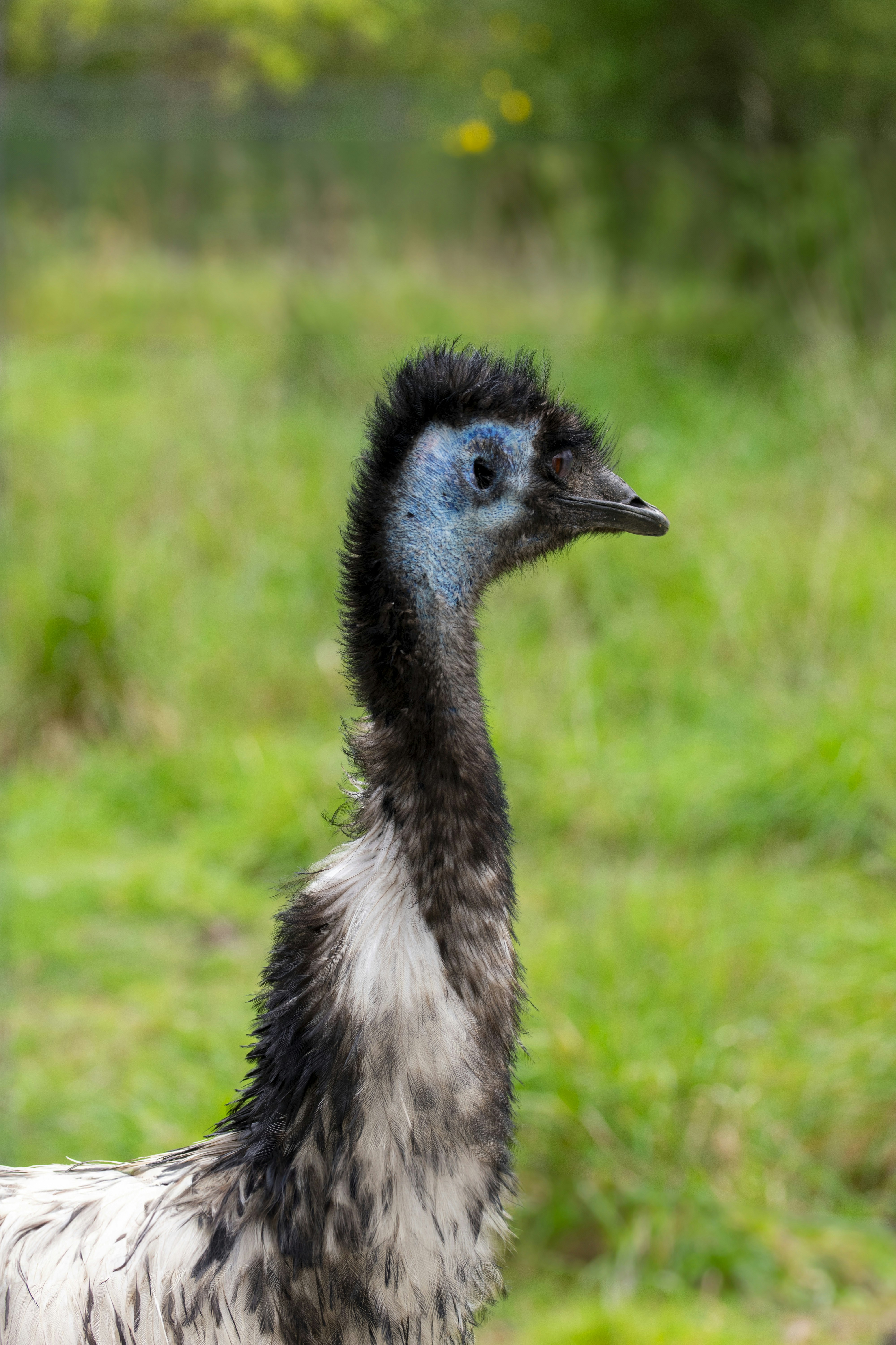 Photo by ellephant_photography