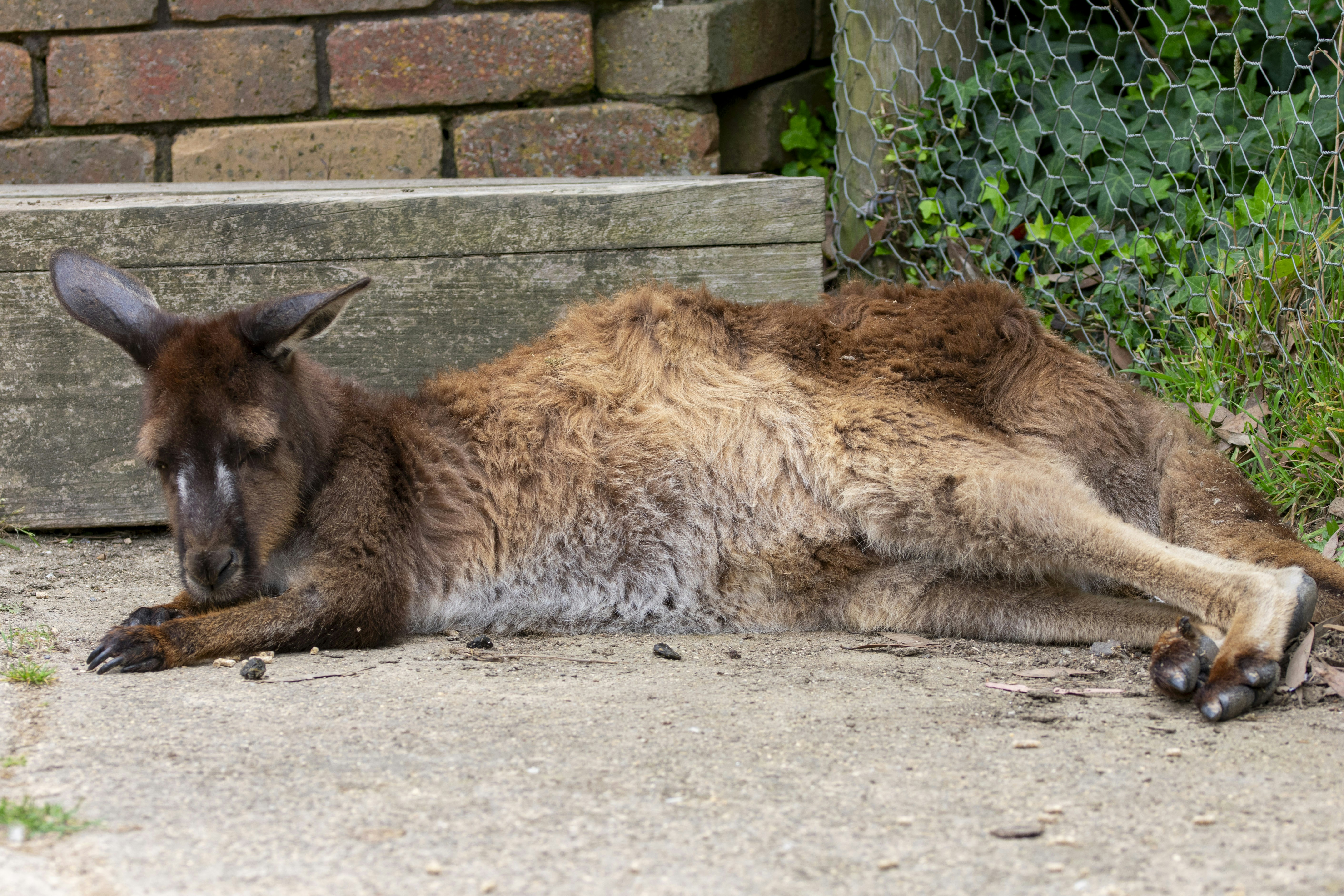 Photo by ellephant_photography