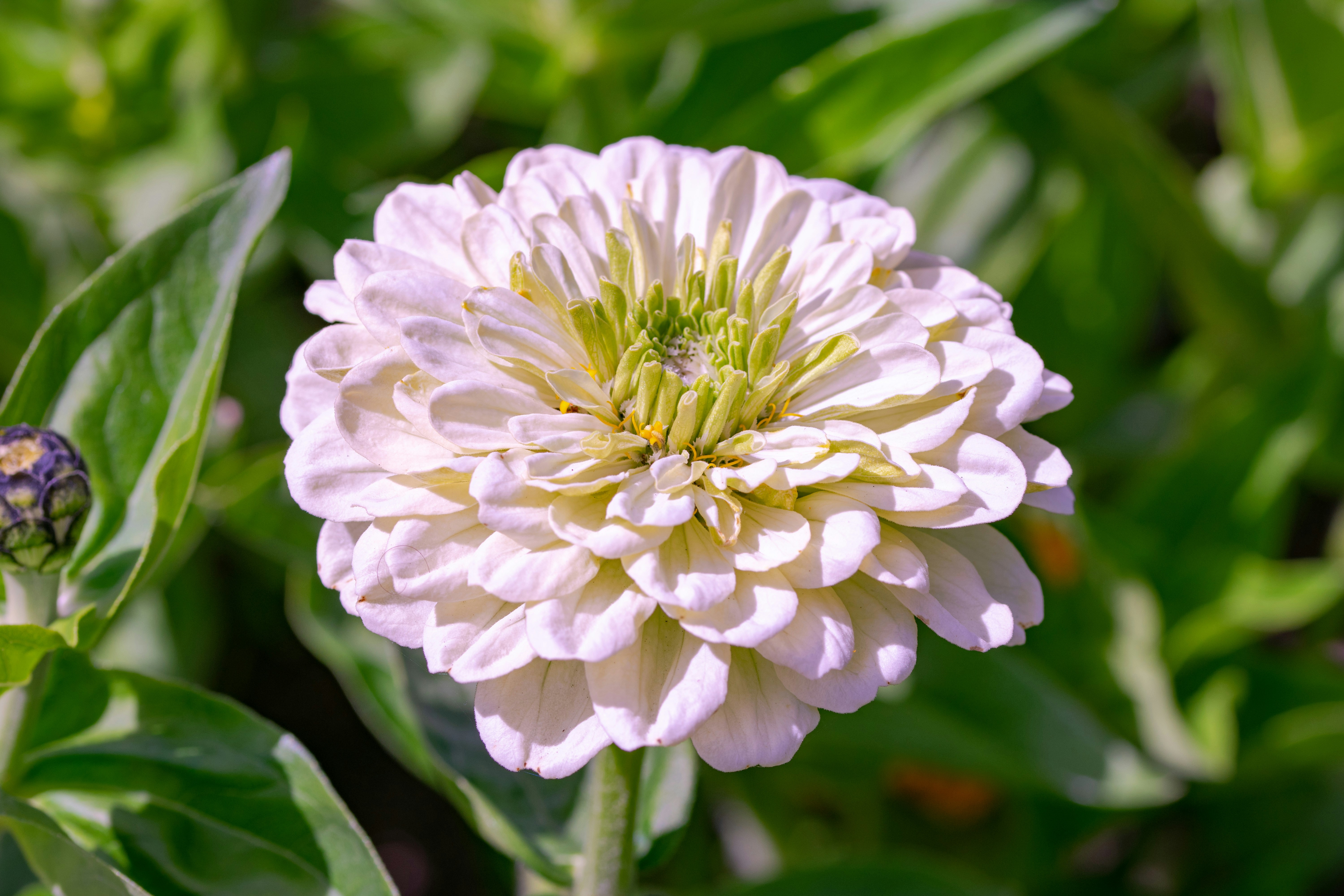 Photo by ellephant_photography