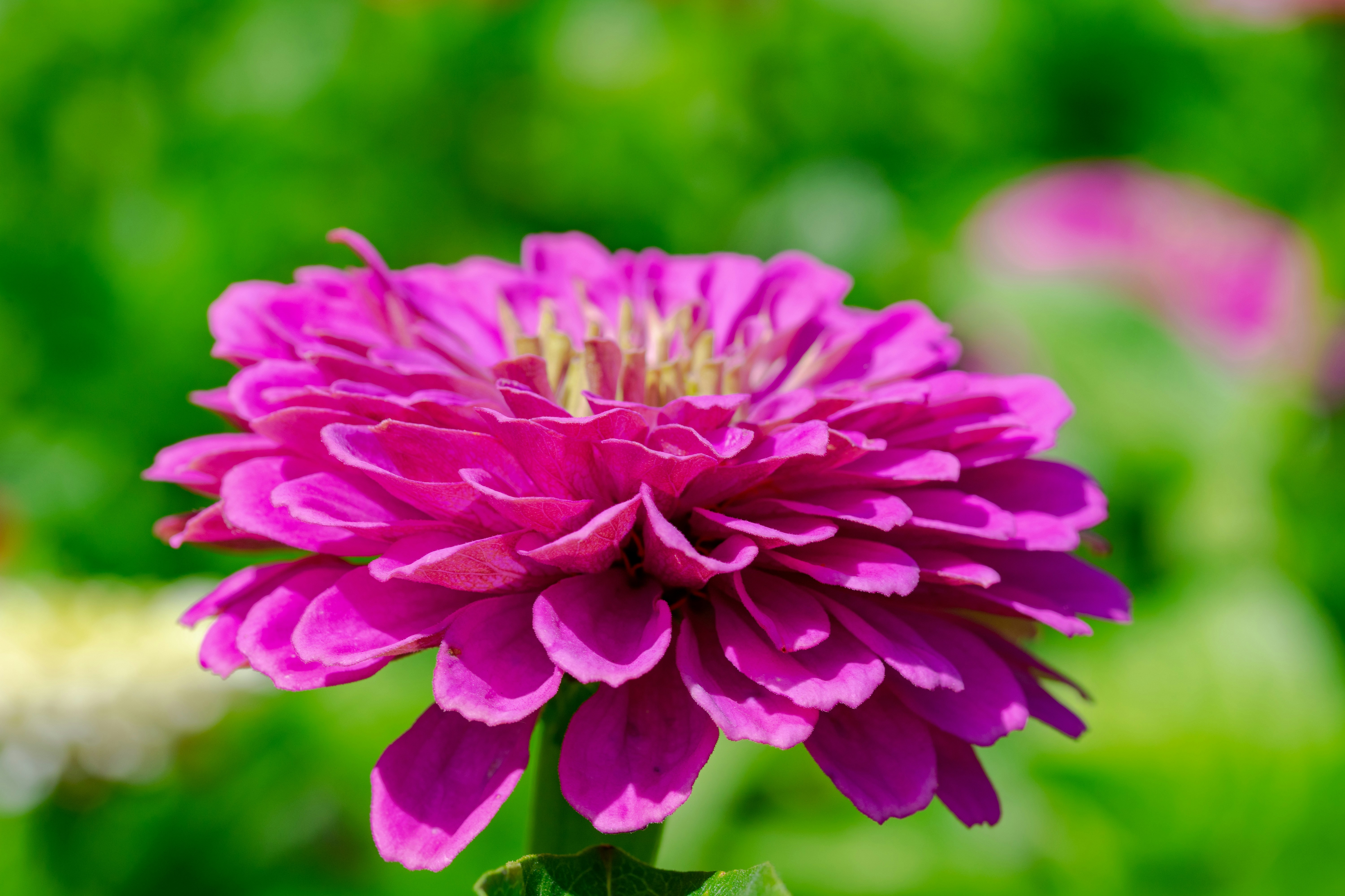 Photo by ellephant_photography