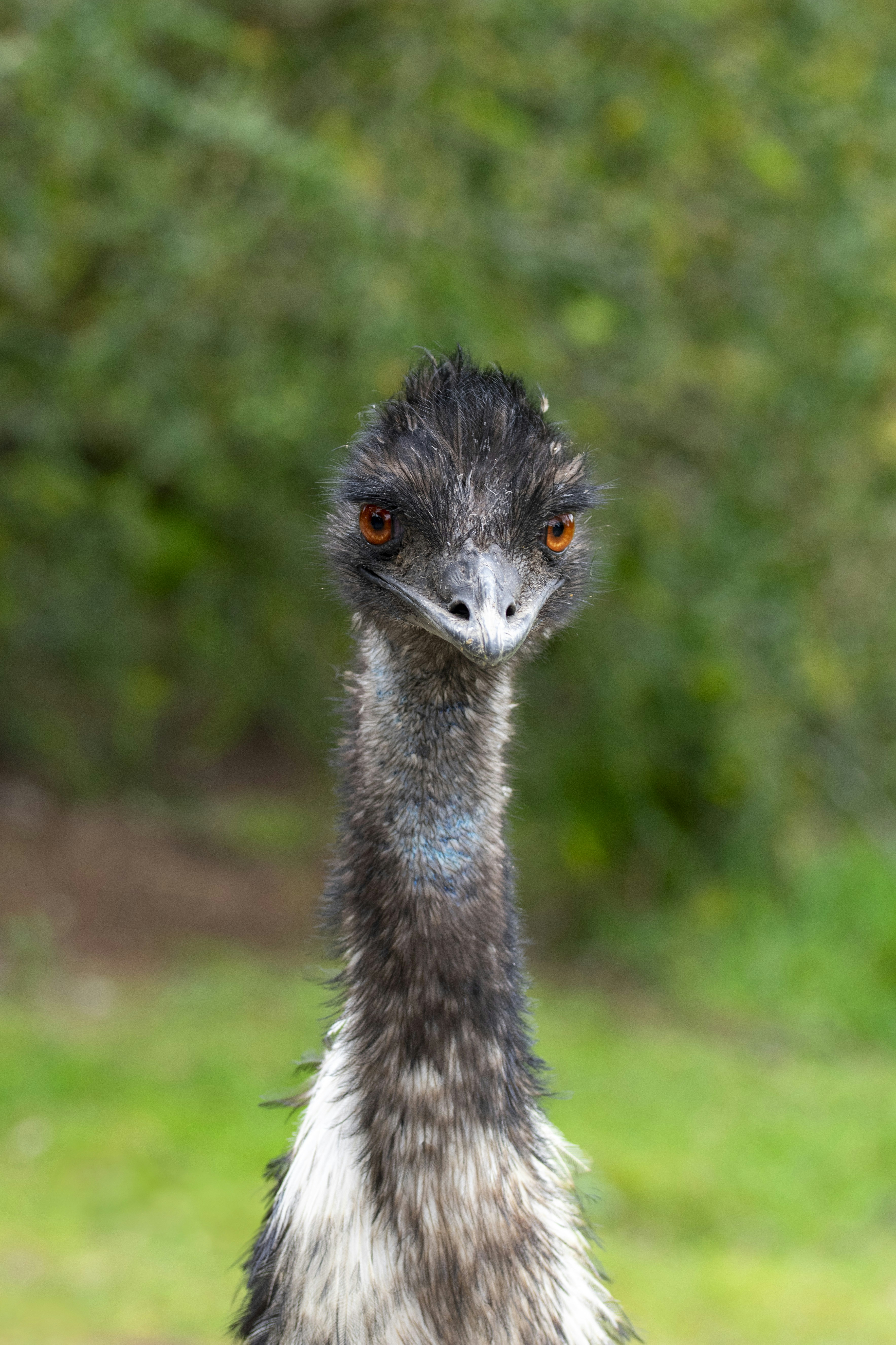 Photo by ellephant_photography