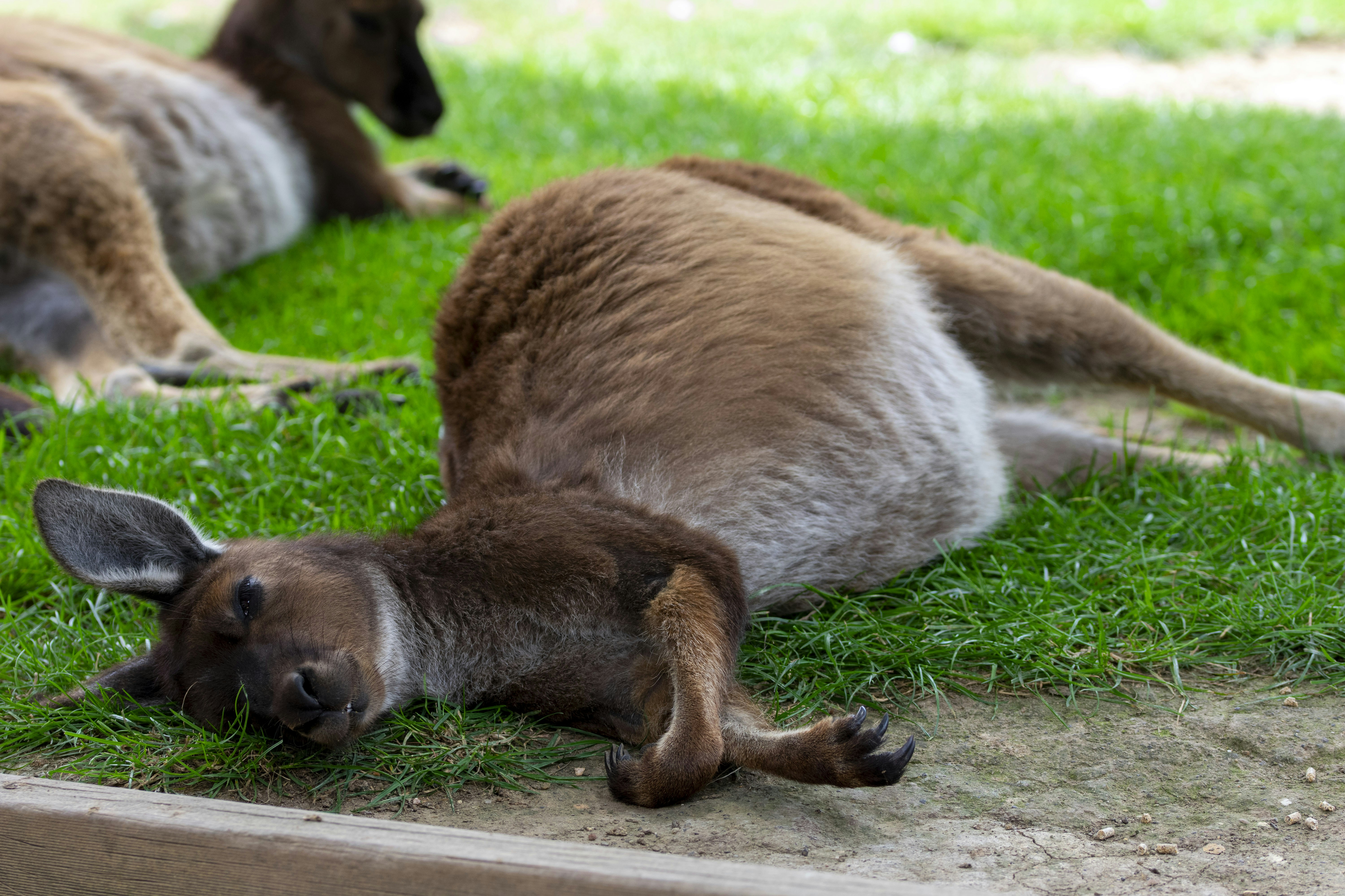 Photo by ellephant_photography