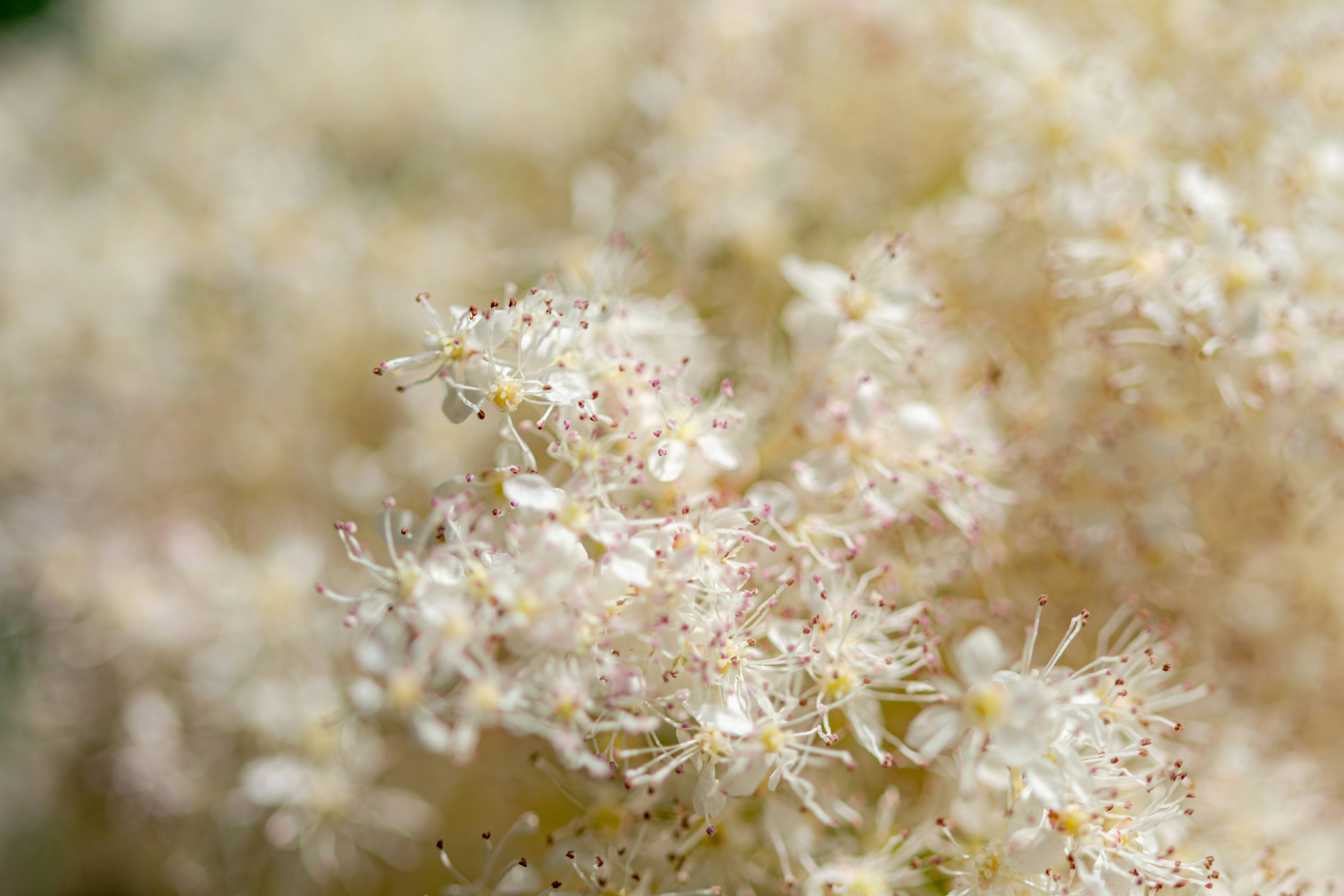 Photo by ellephant_photography