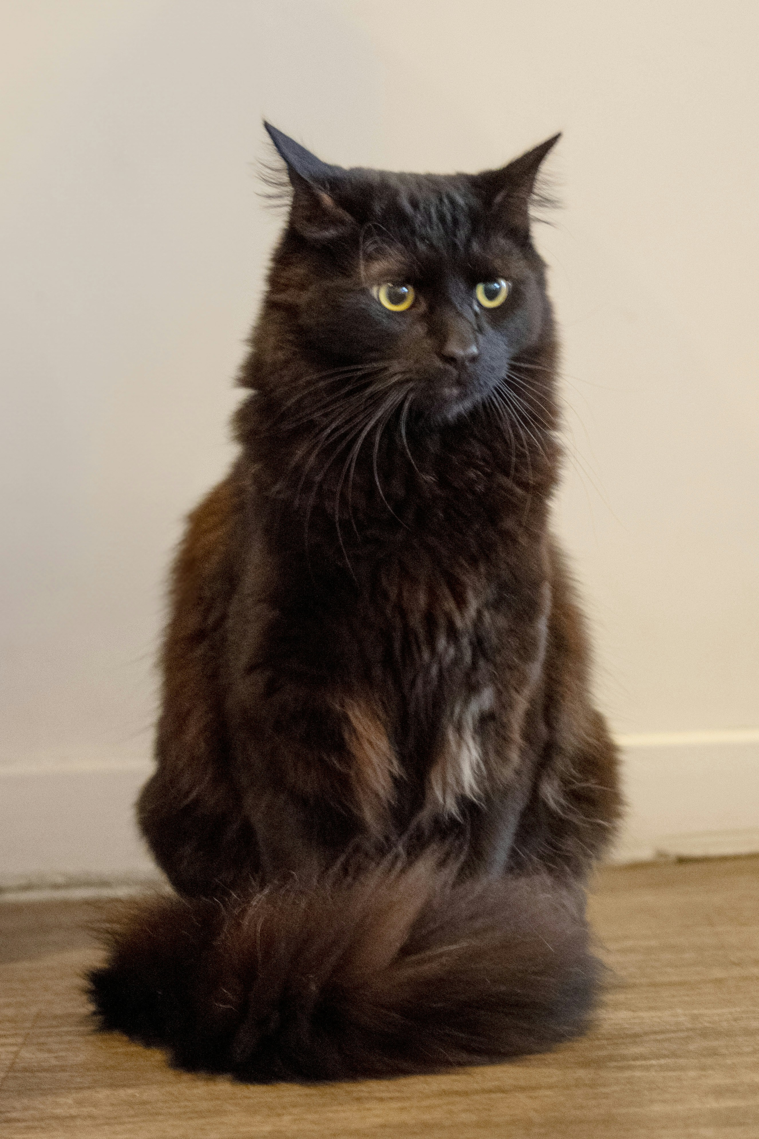 Photo by ellephant_photography