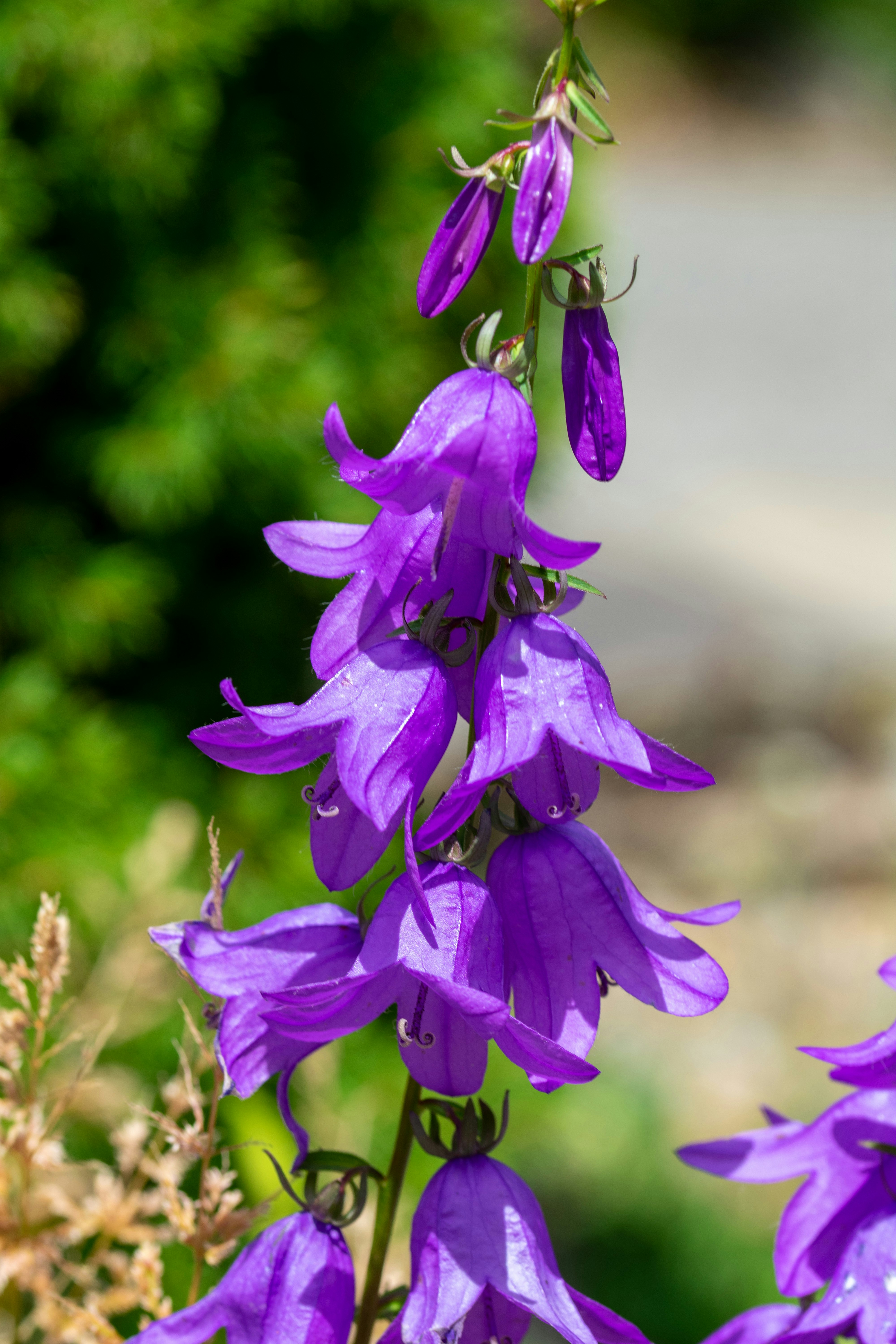 Photo by ellephant_photography