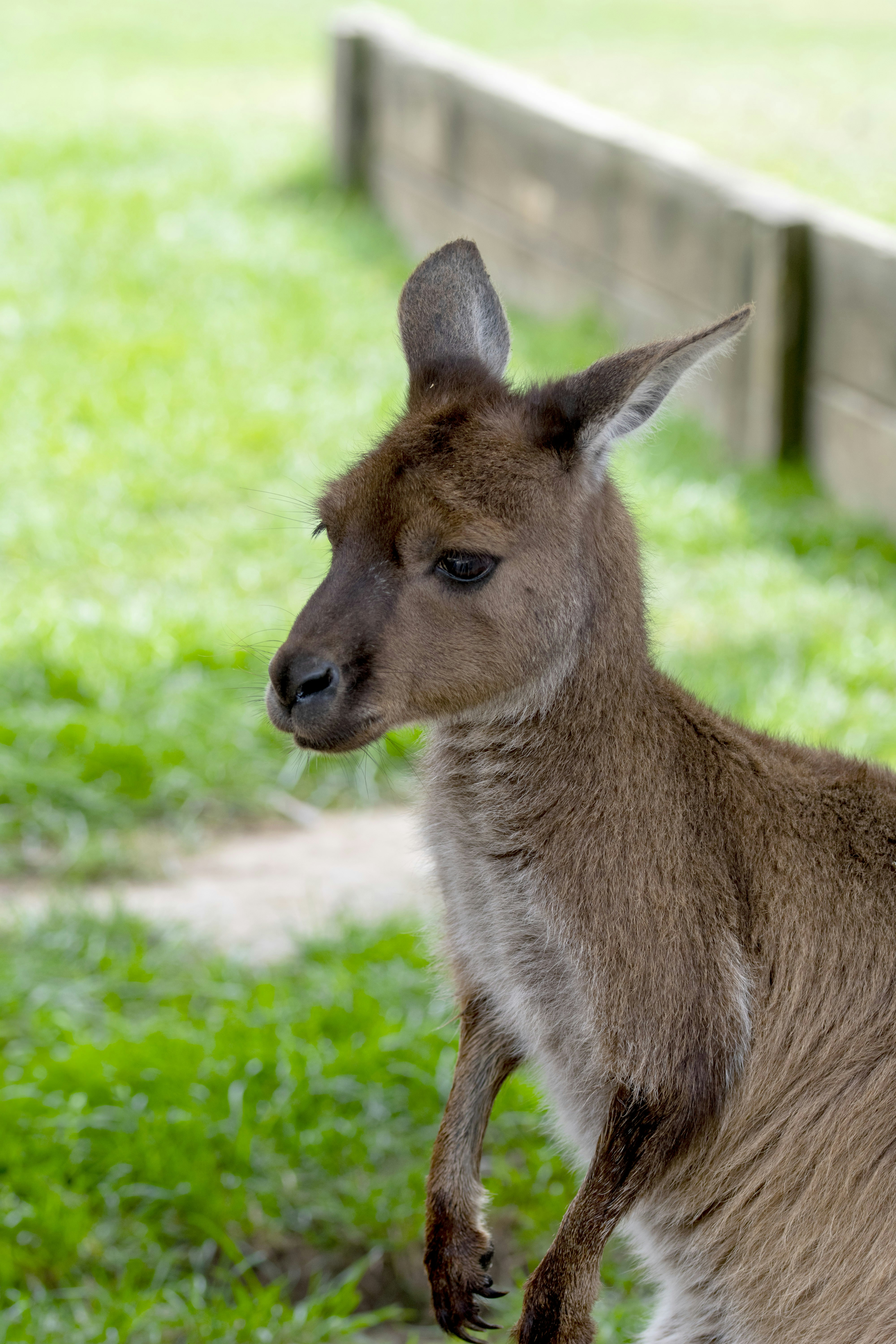 Photo by ellephant_photography