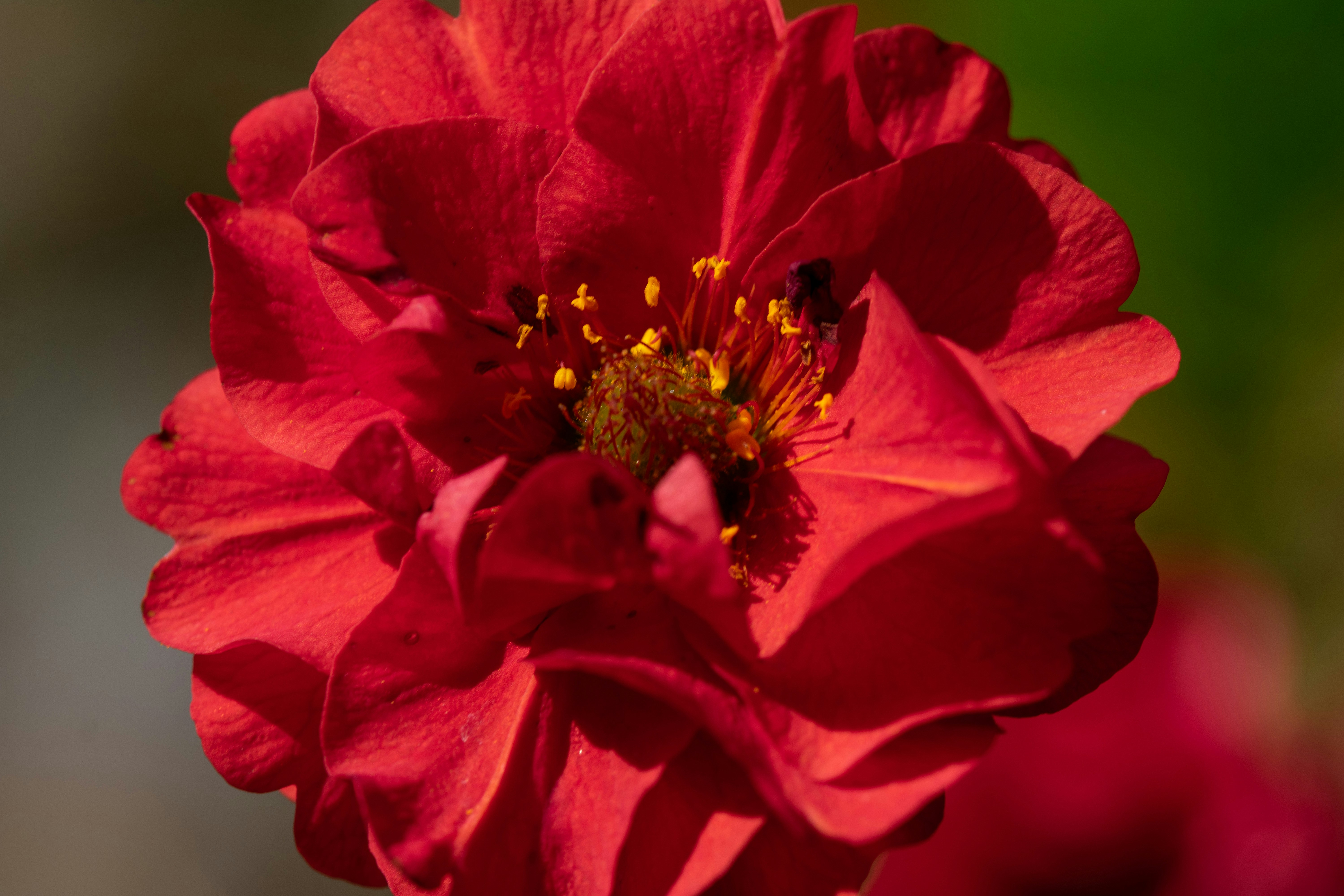 Photo by ellephant_photography