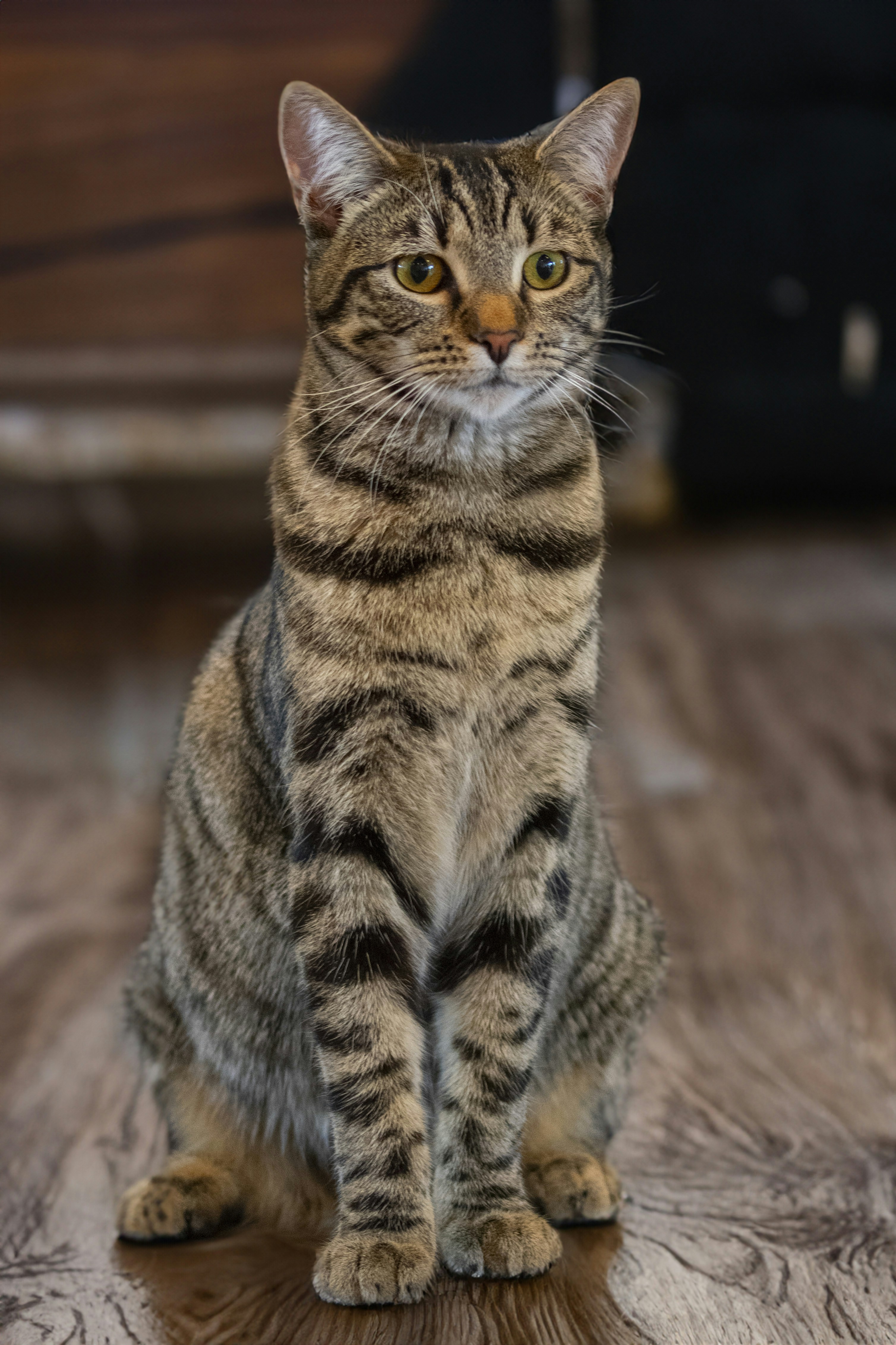 Photo by ellephant_photography