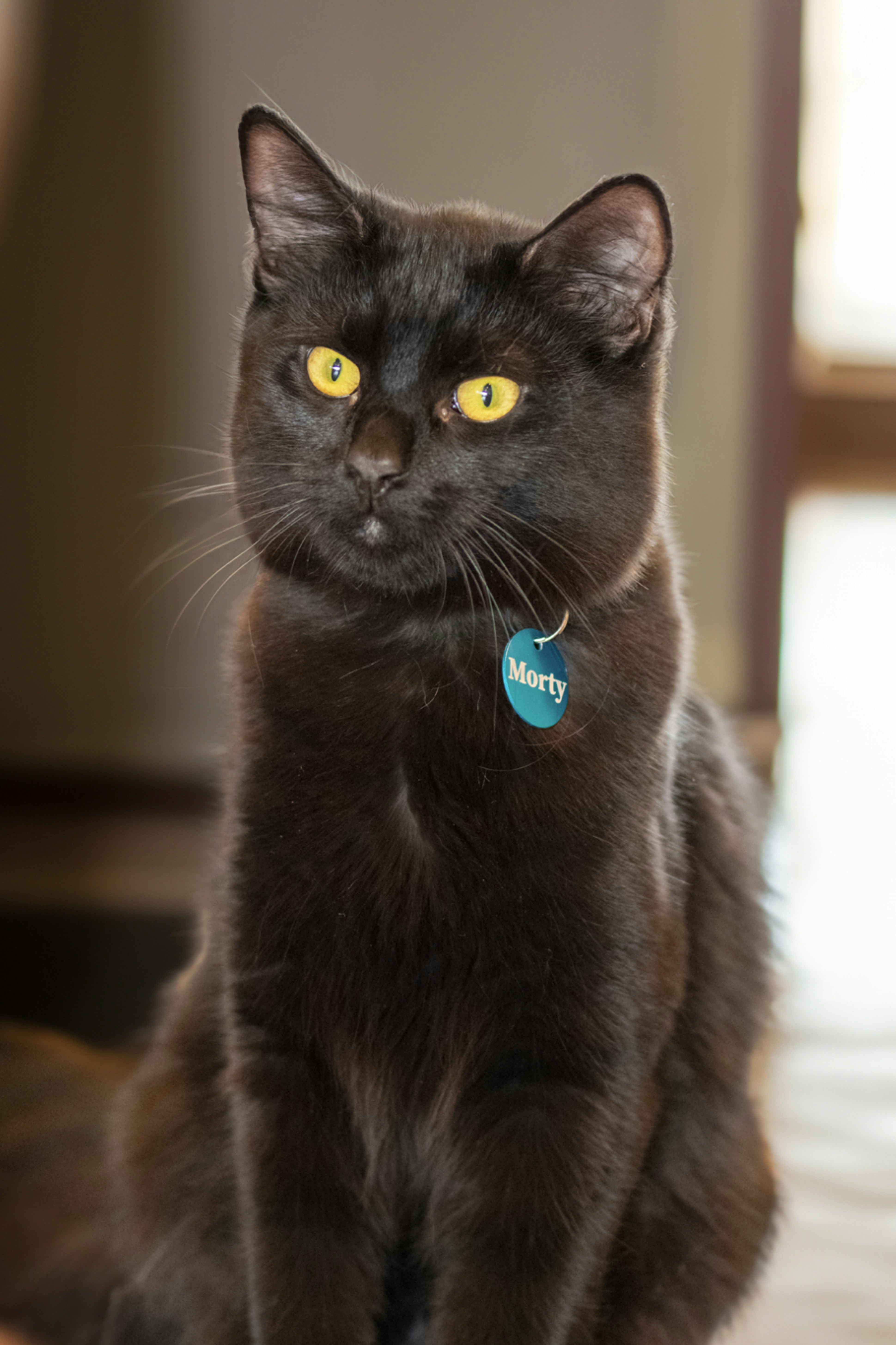 Photo by ellephant_photography