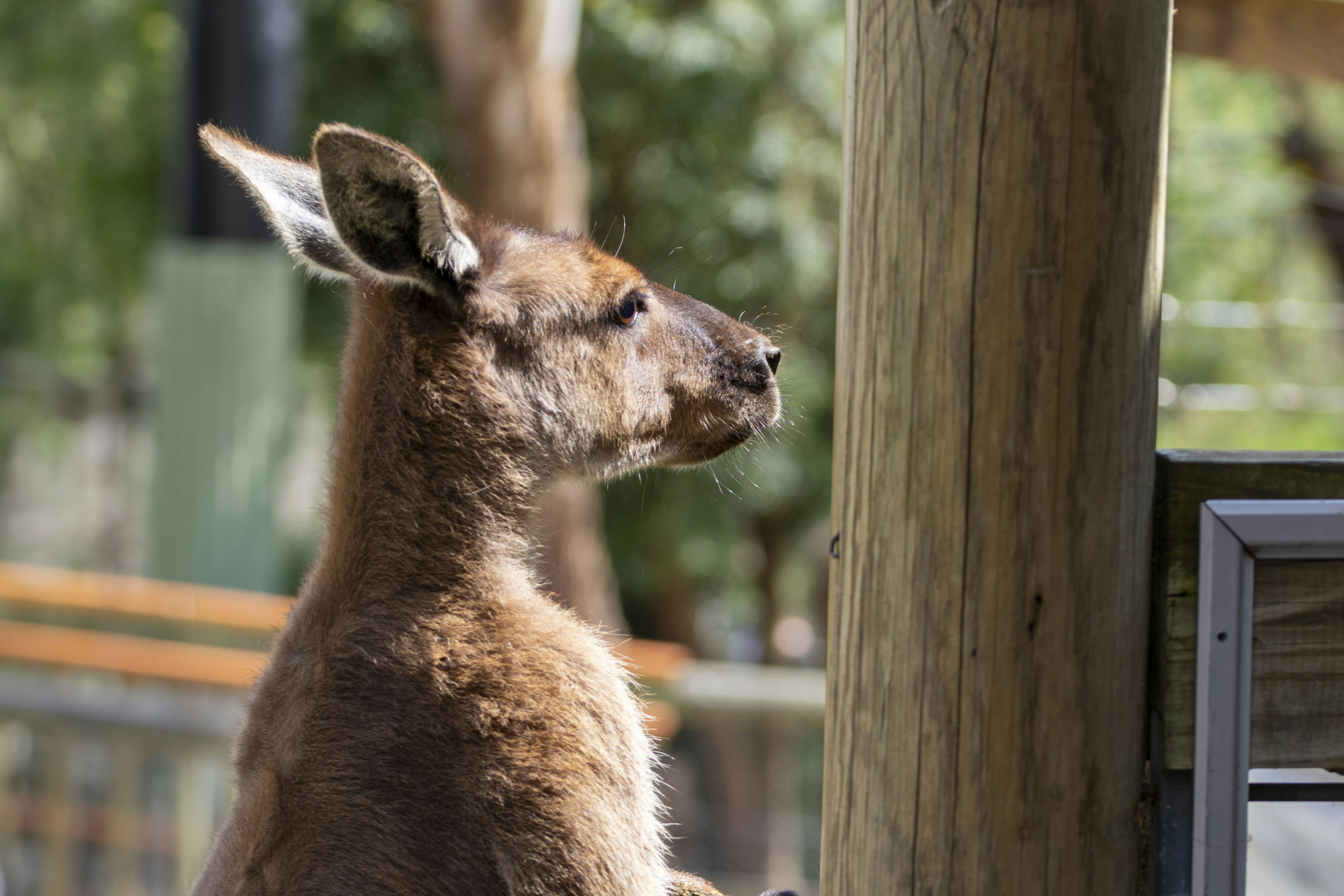 Photo by ellephant_photography