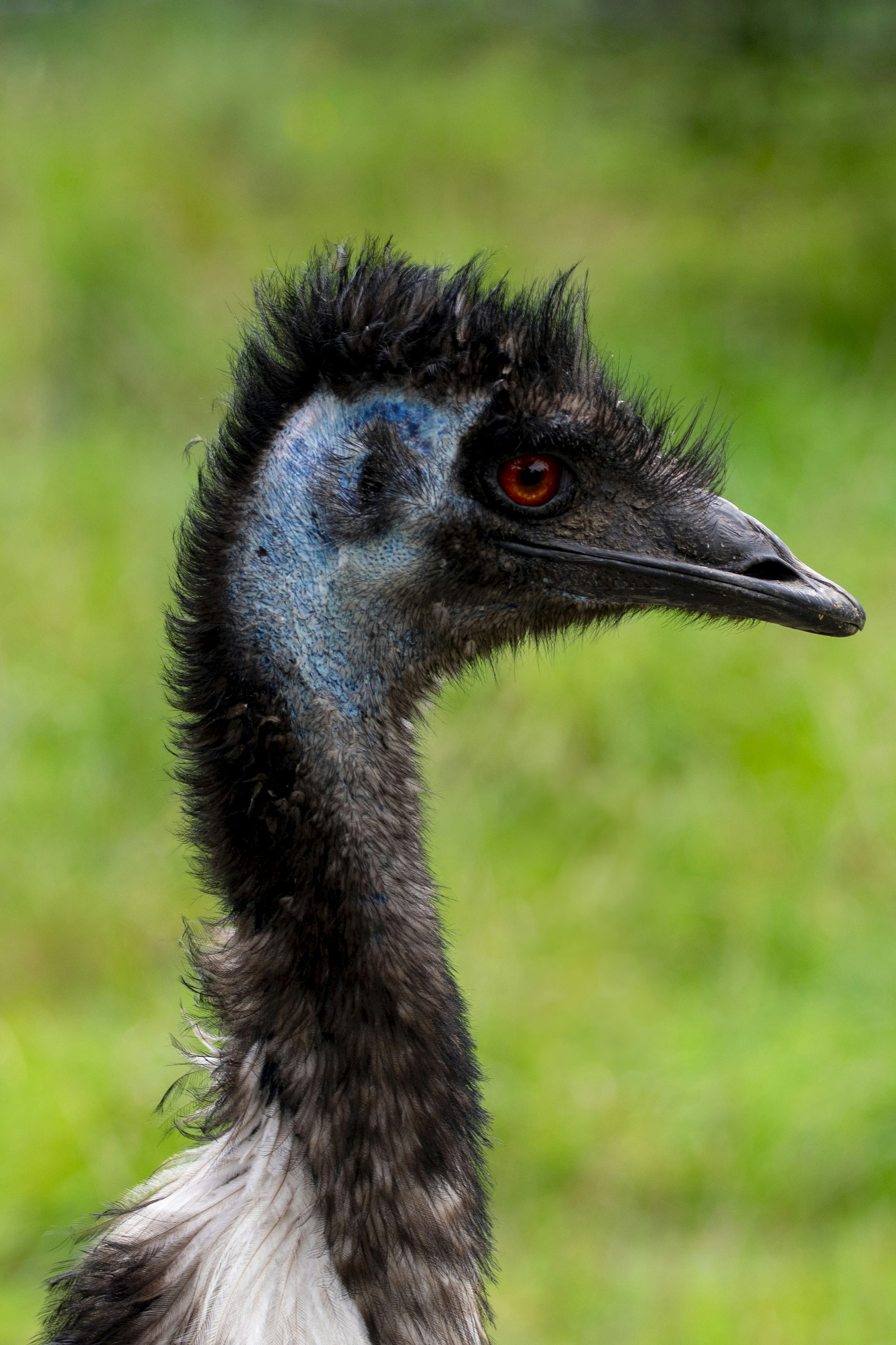 Photo by ellephant_photography