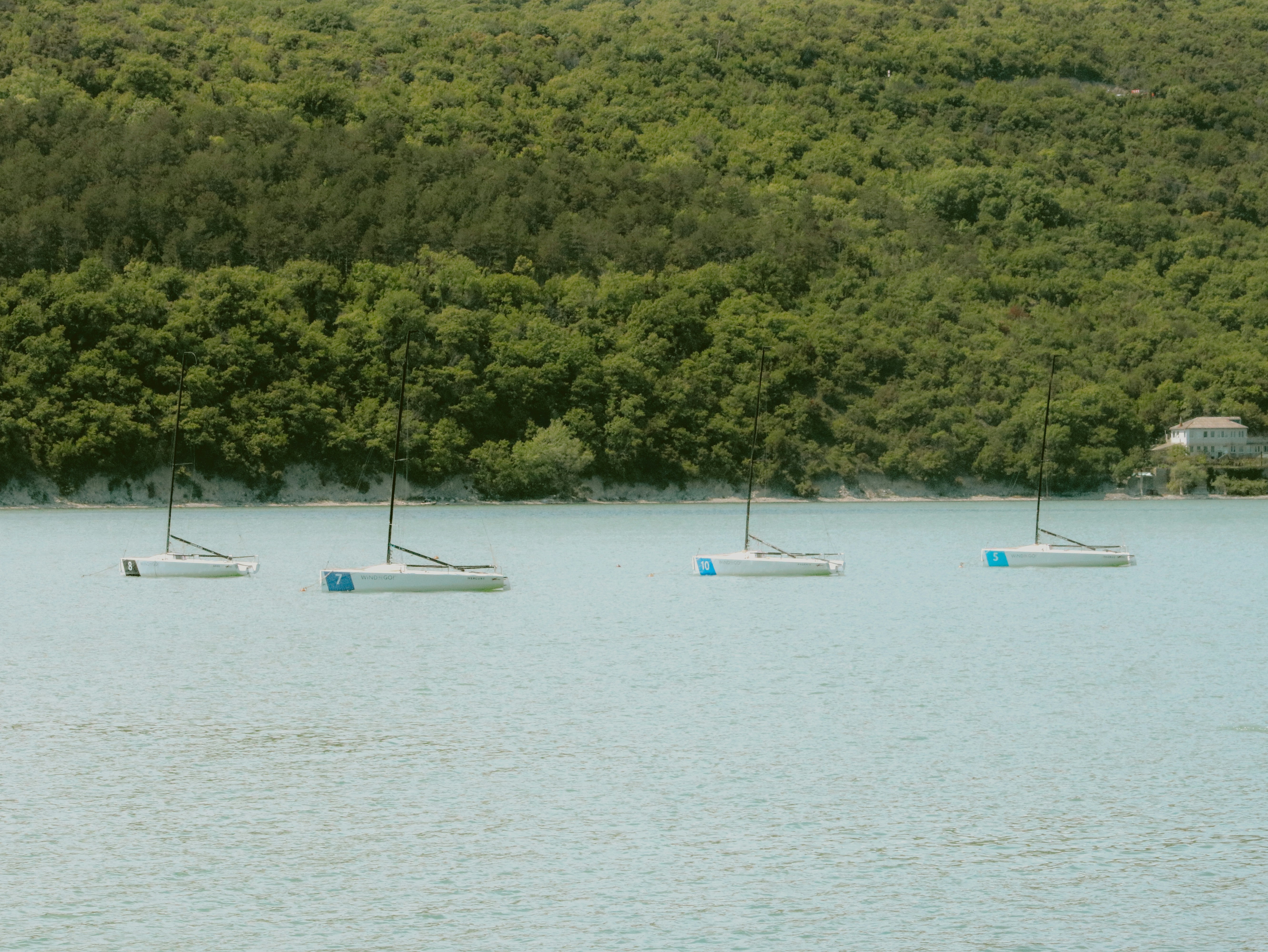 Four sailboats are on a calm lake.
