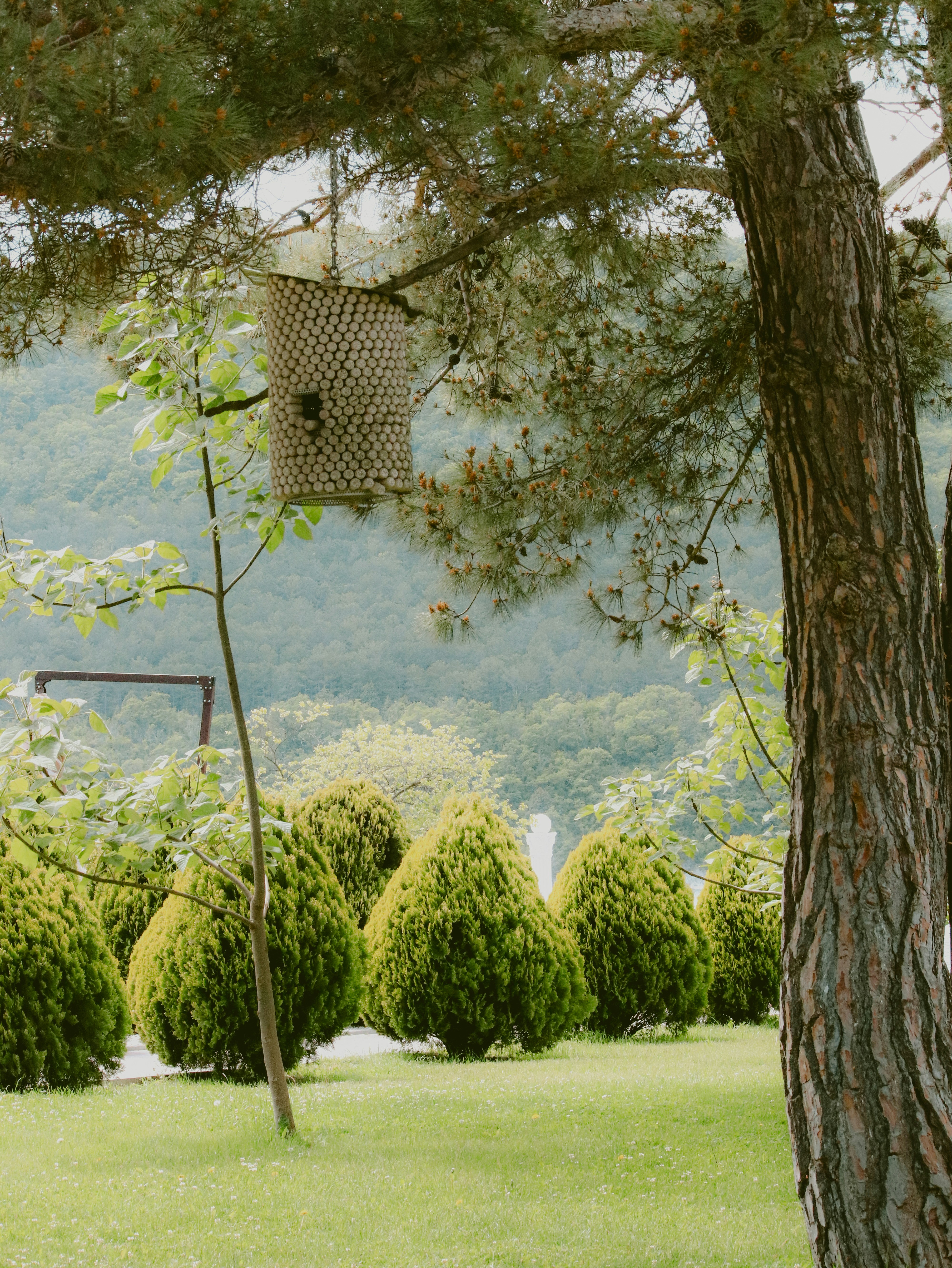 A birdhouse hangs in a beautiful green yard.