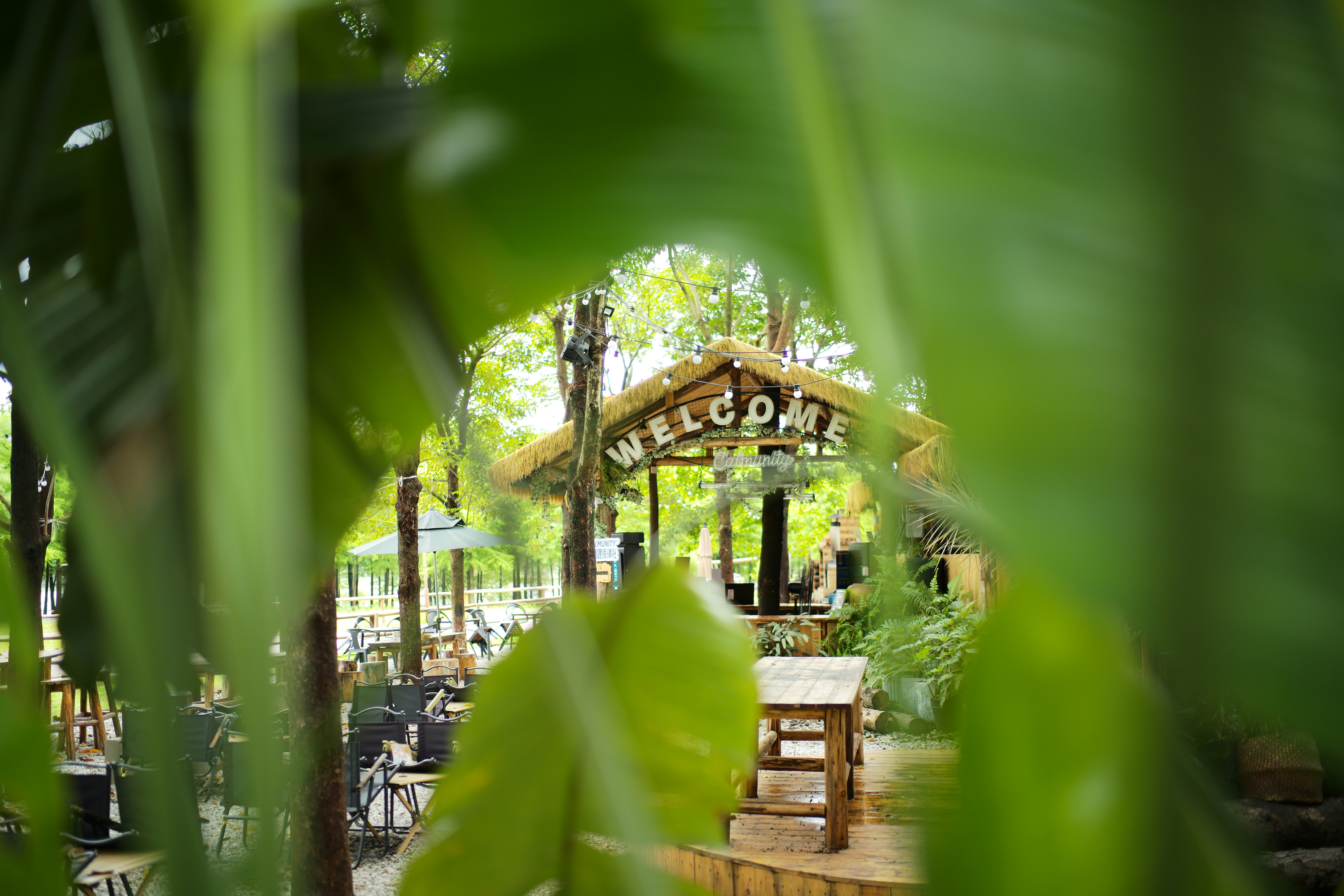 Photo by youngxiaomie