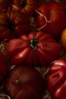 Fresh and ripe tomatoes are nestled in a box.