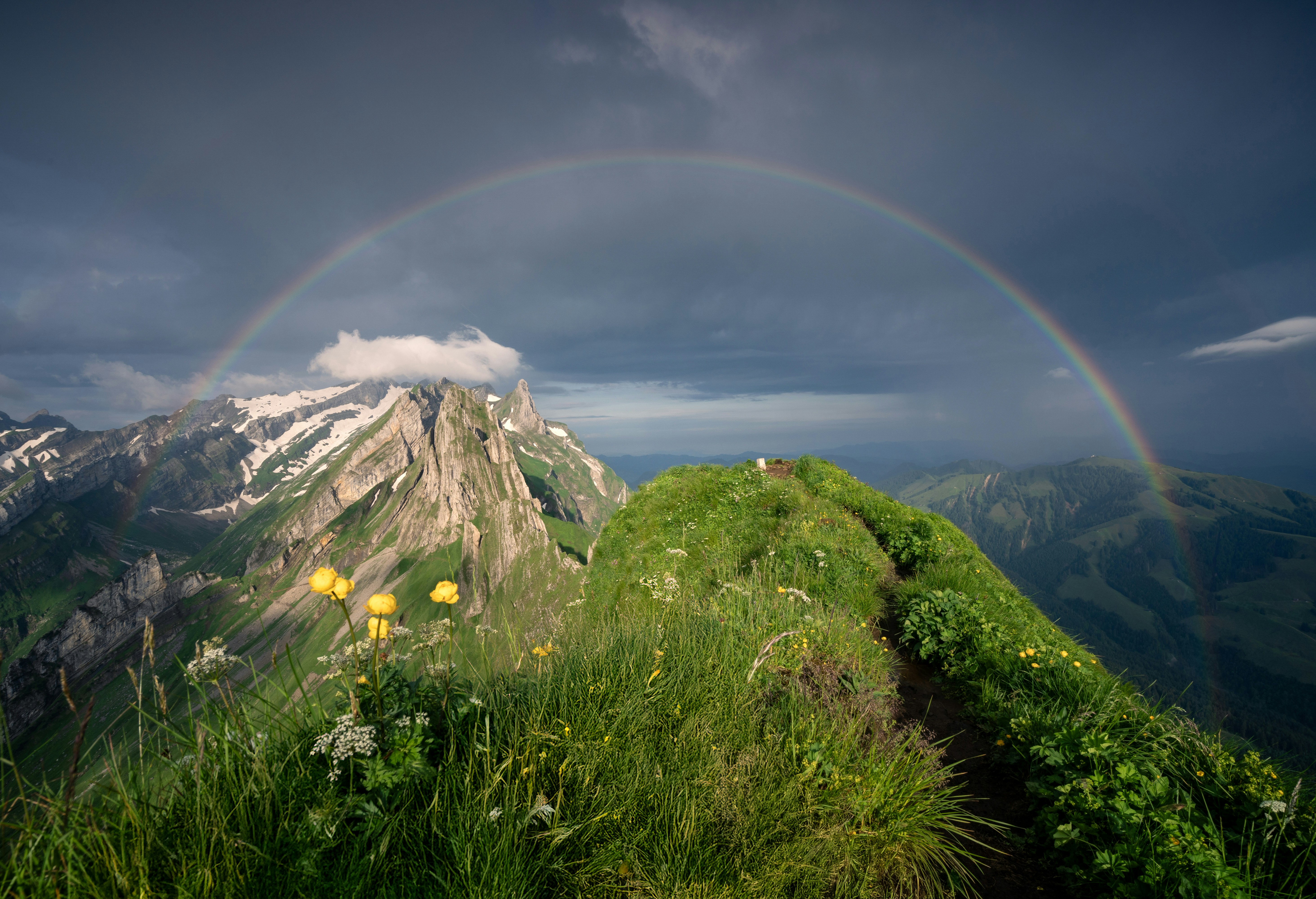 Cover Image of the Post