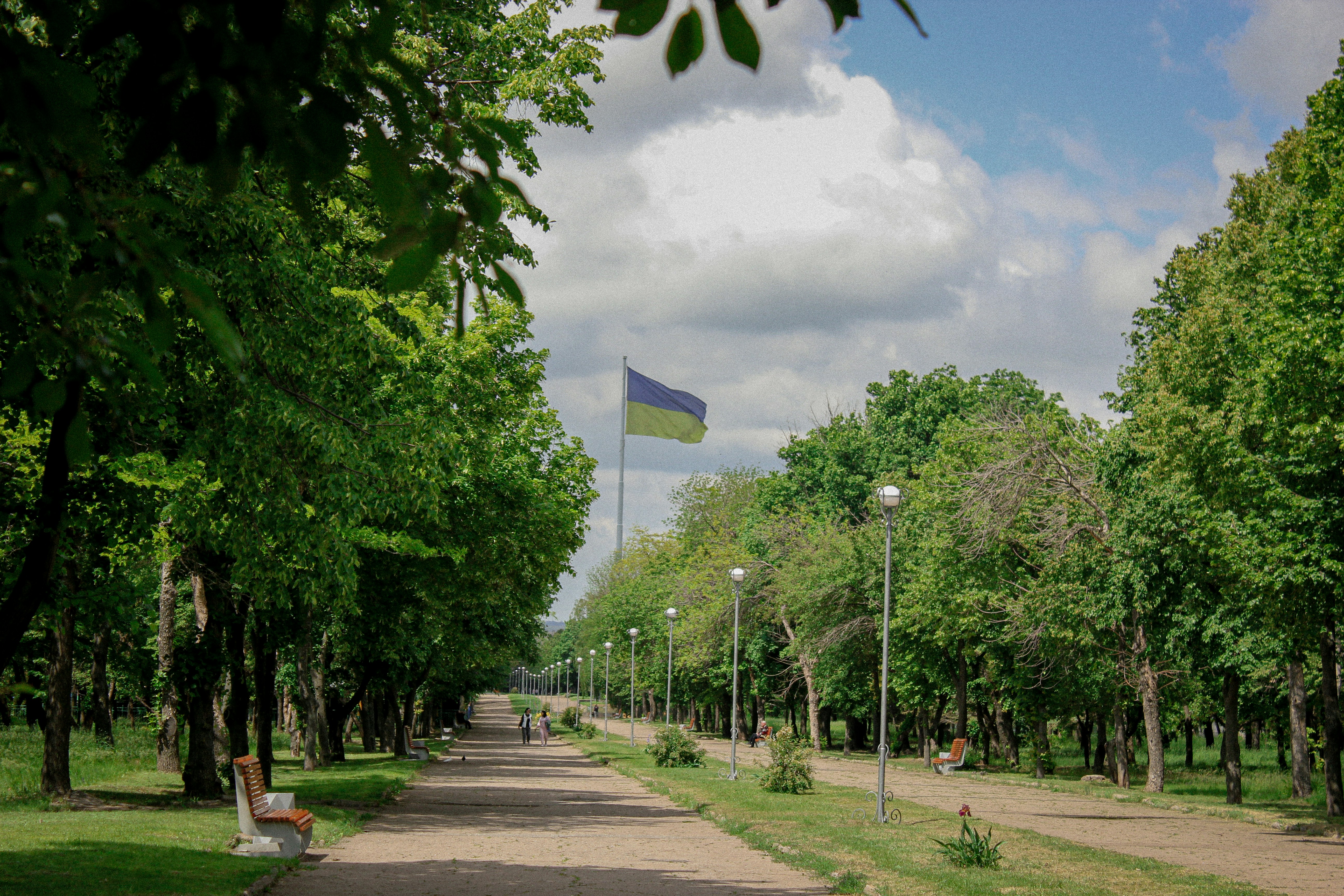 A park path is lined with trees and a ukrainian flag.