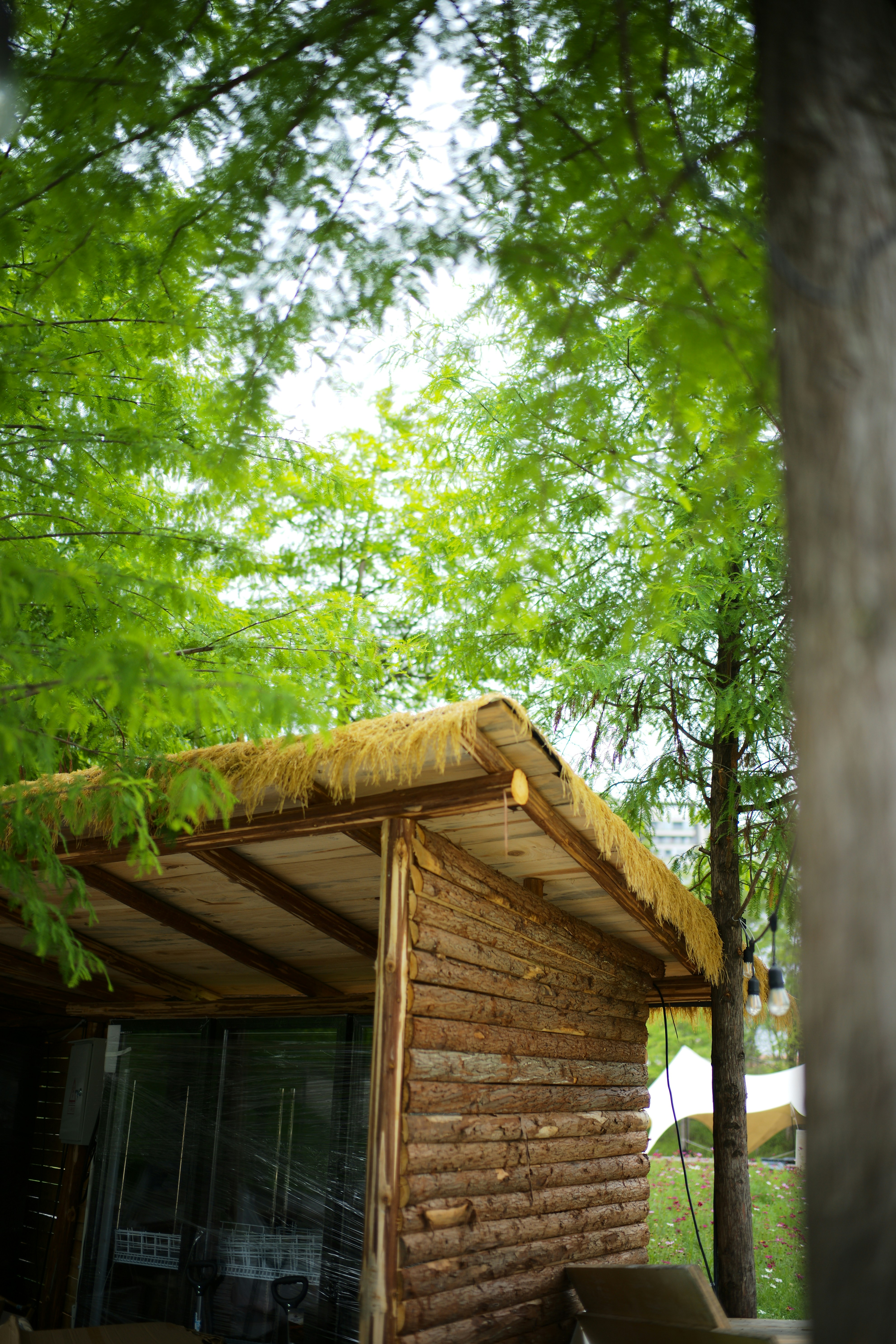 Photo by youngxiaomie