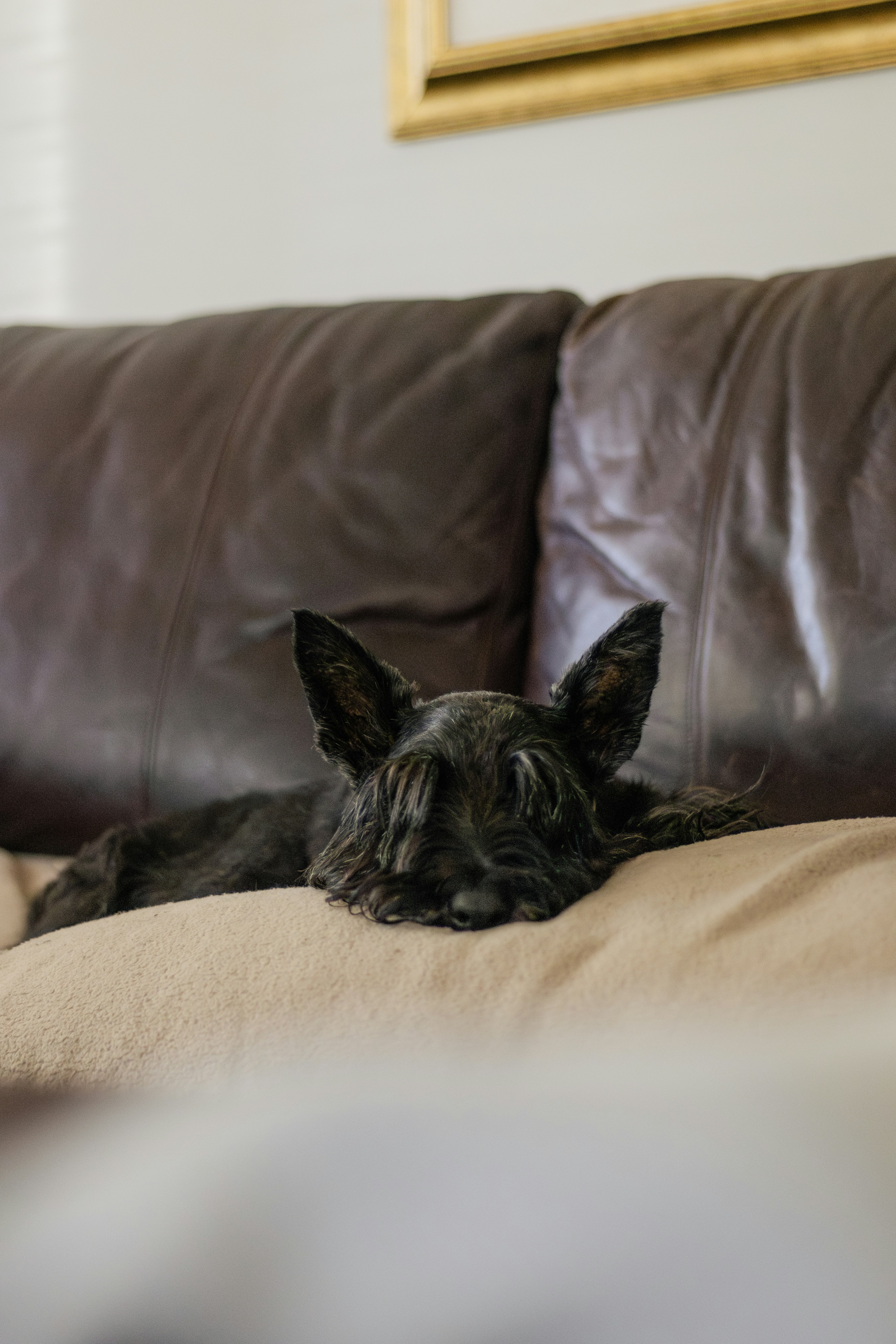 Photo by ashford_marx