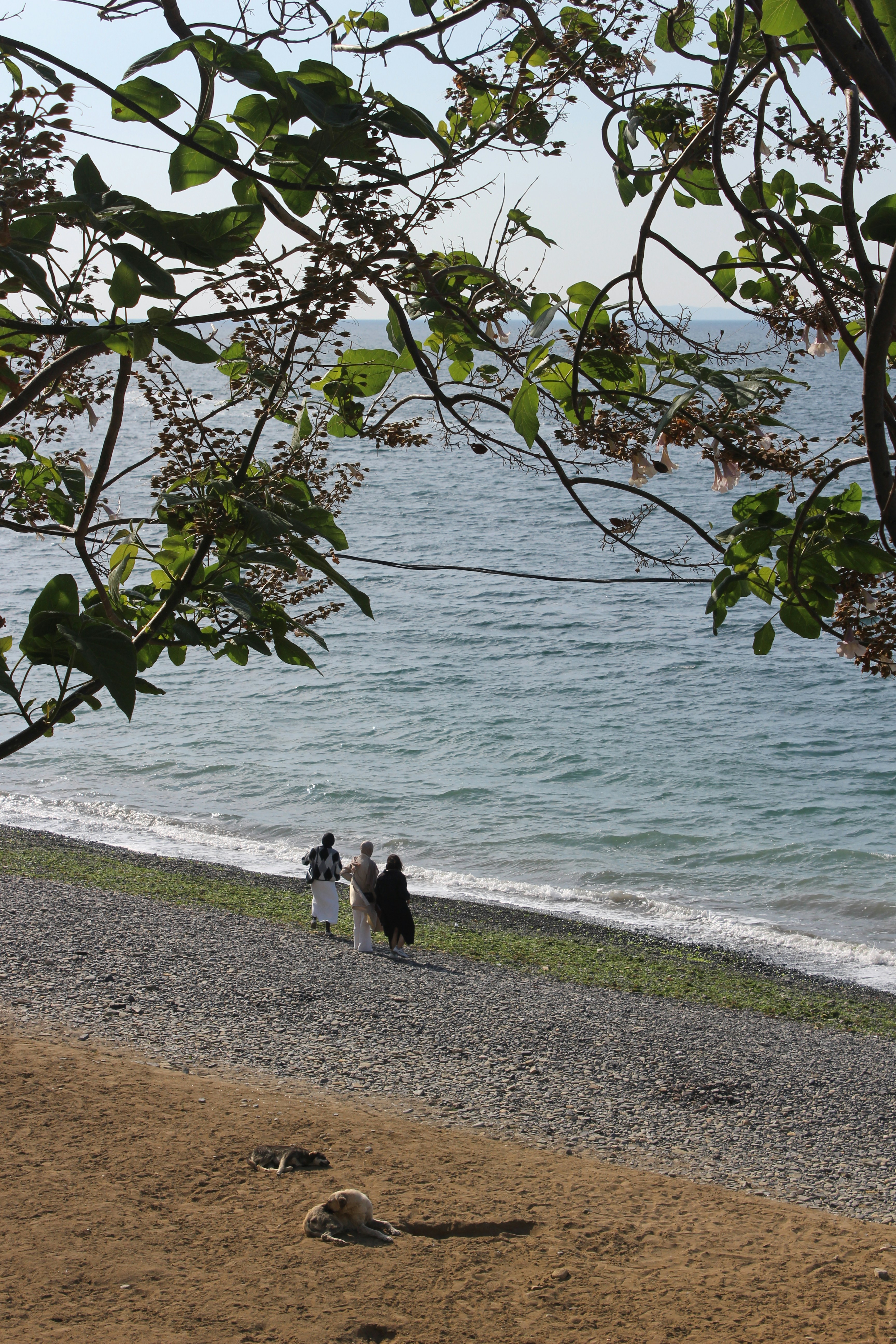 People walk along a beach with ocean views.