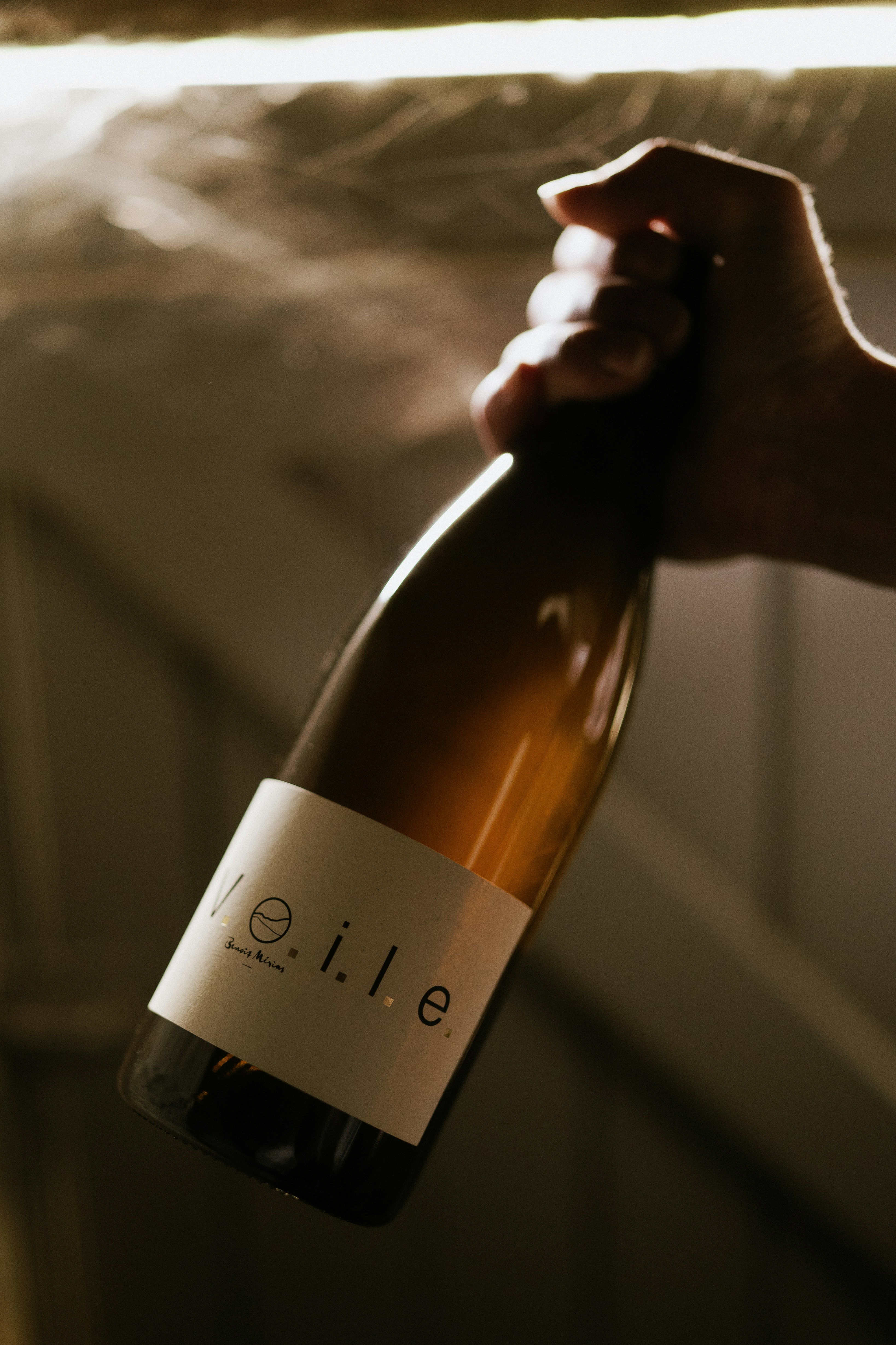 A hand holds a bottle of wine