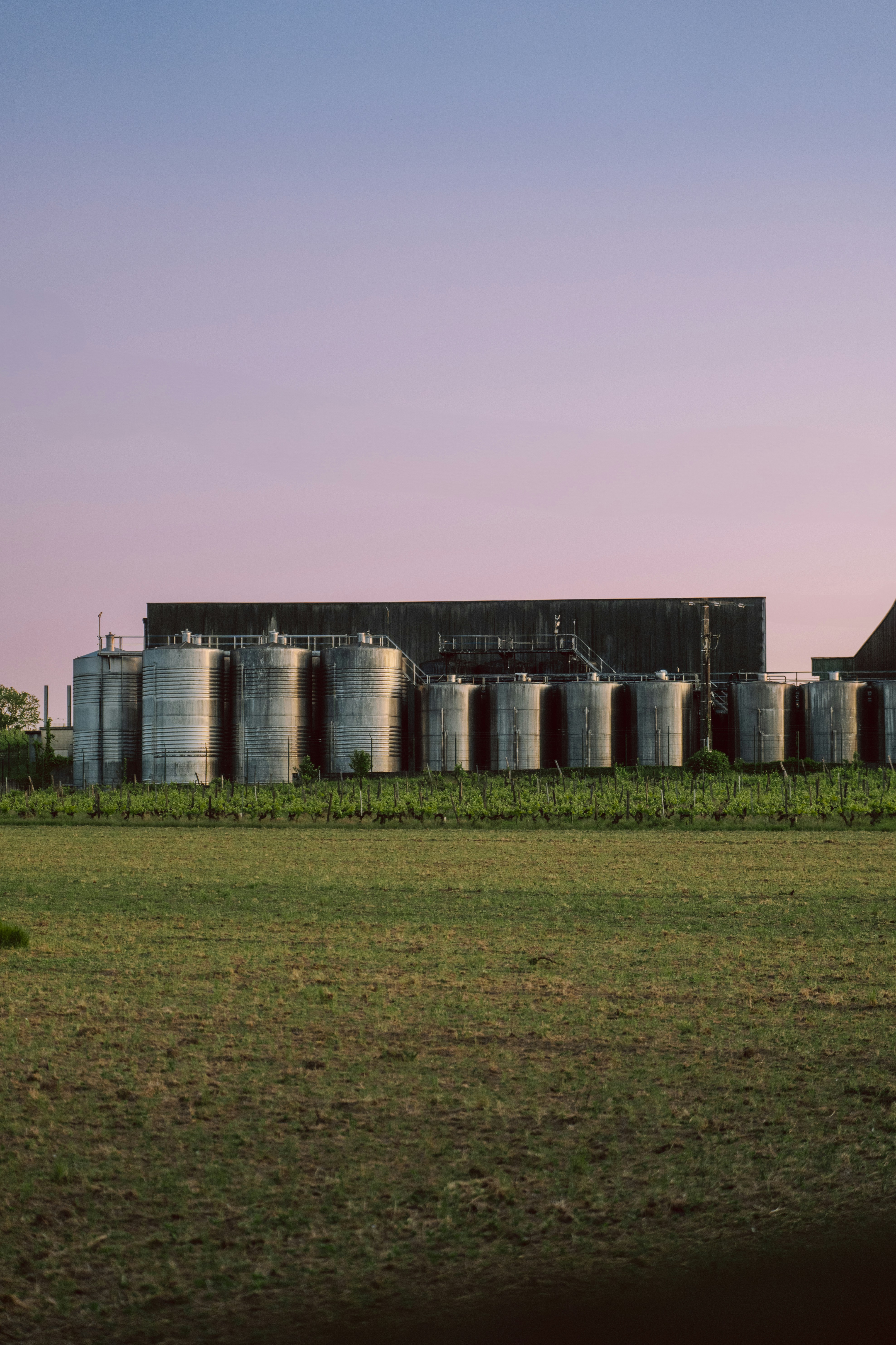 Storage tanks in the field