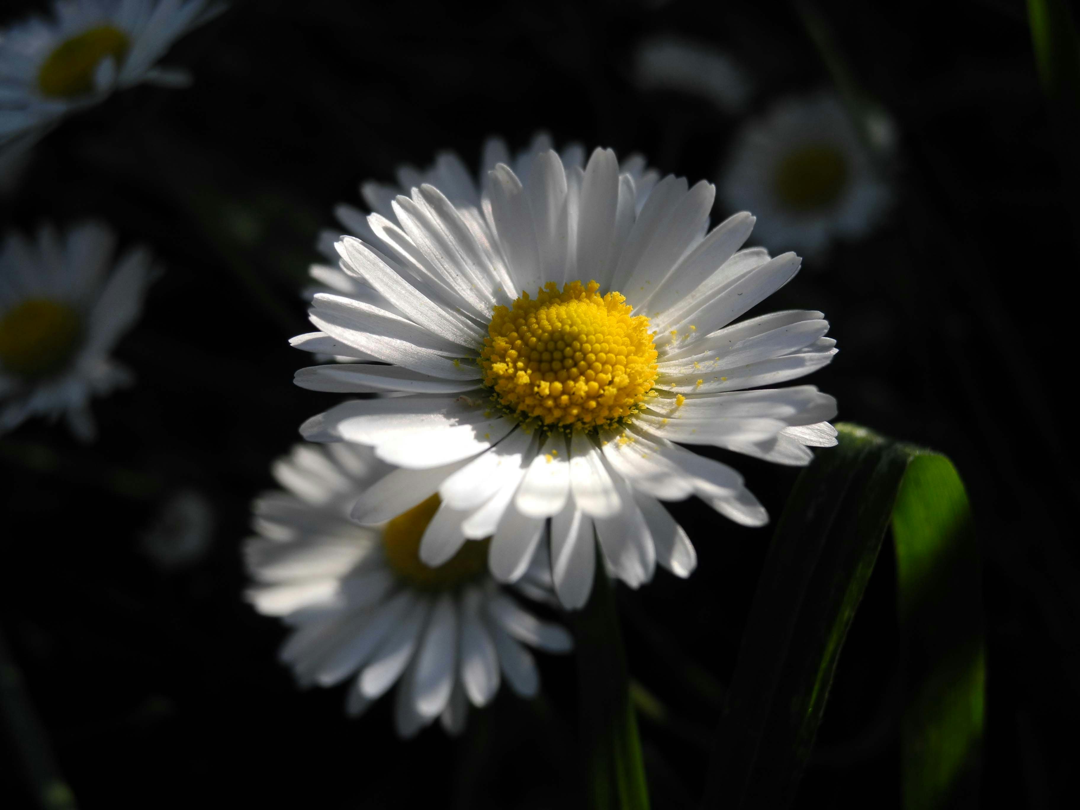 Photo by alessandro_77