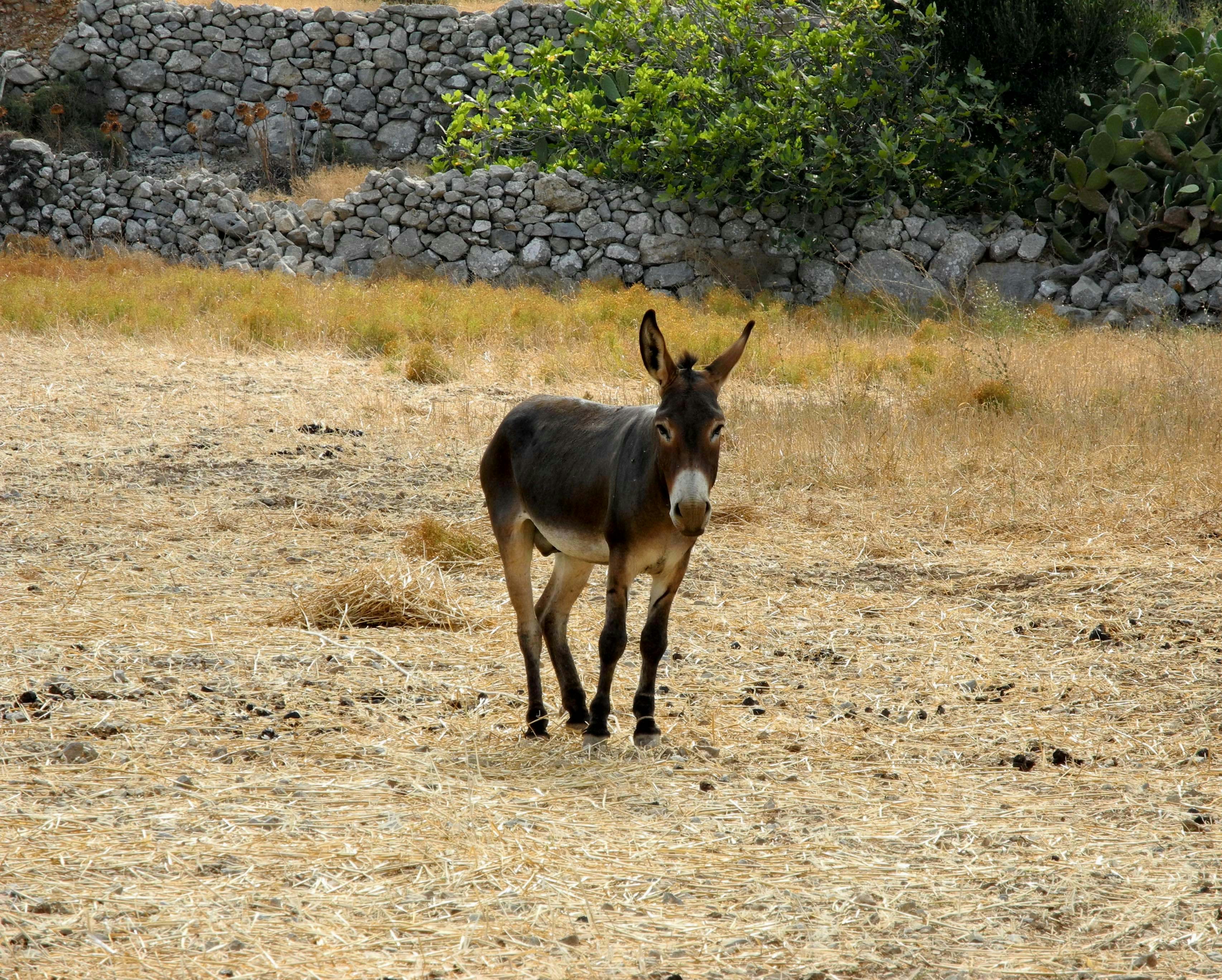 Photo by alessandro_77