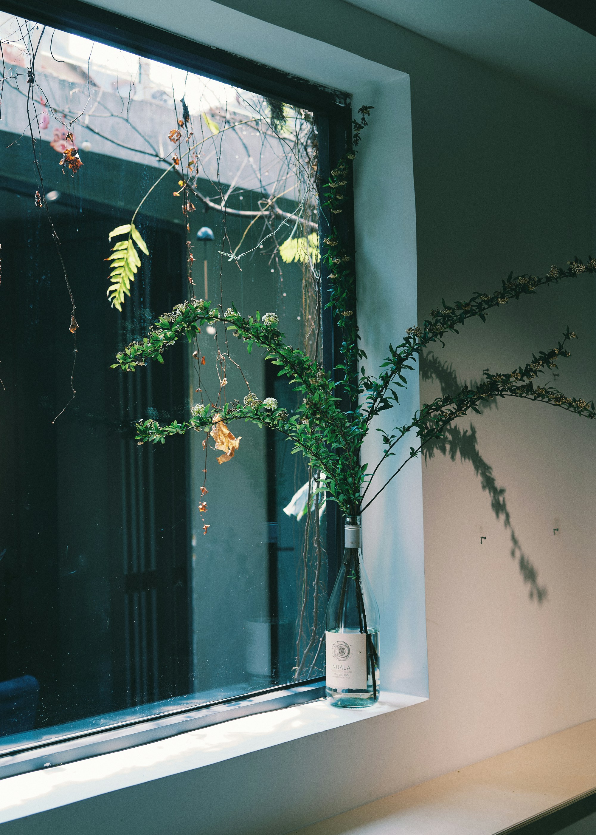 Photo by call_me_lee