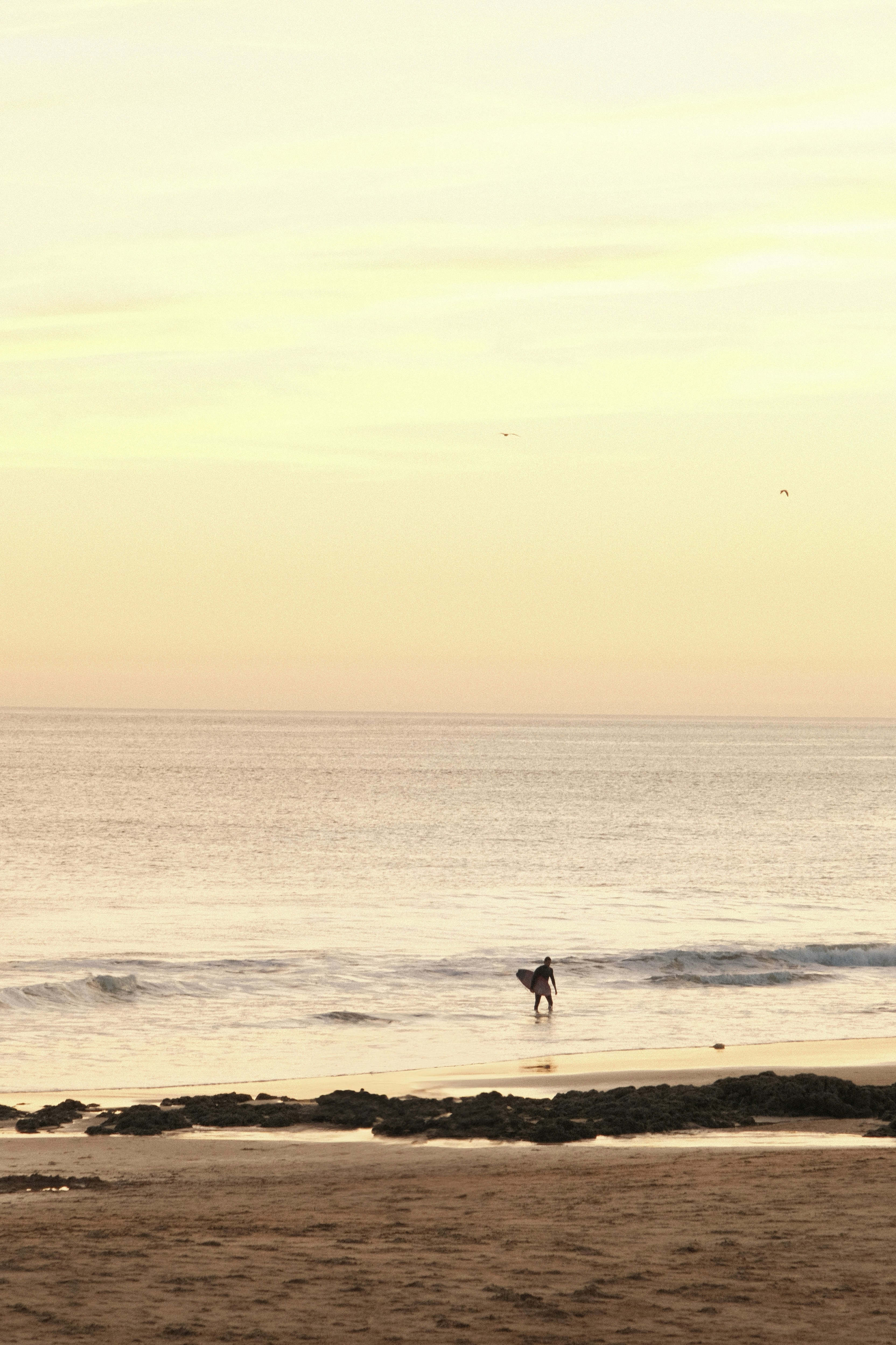 Photo by ivosouzamartins