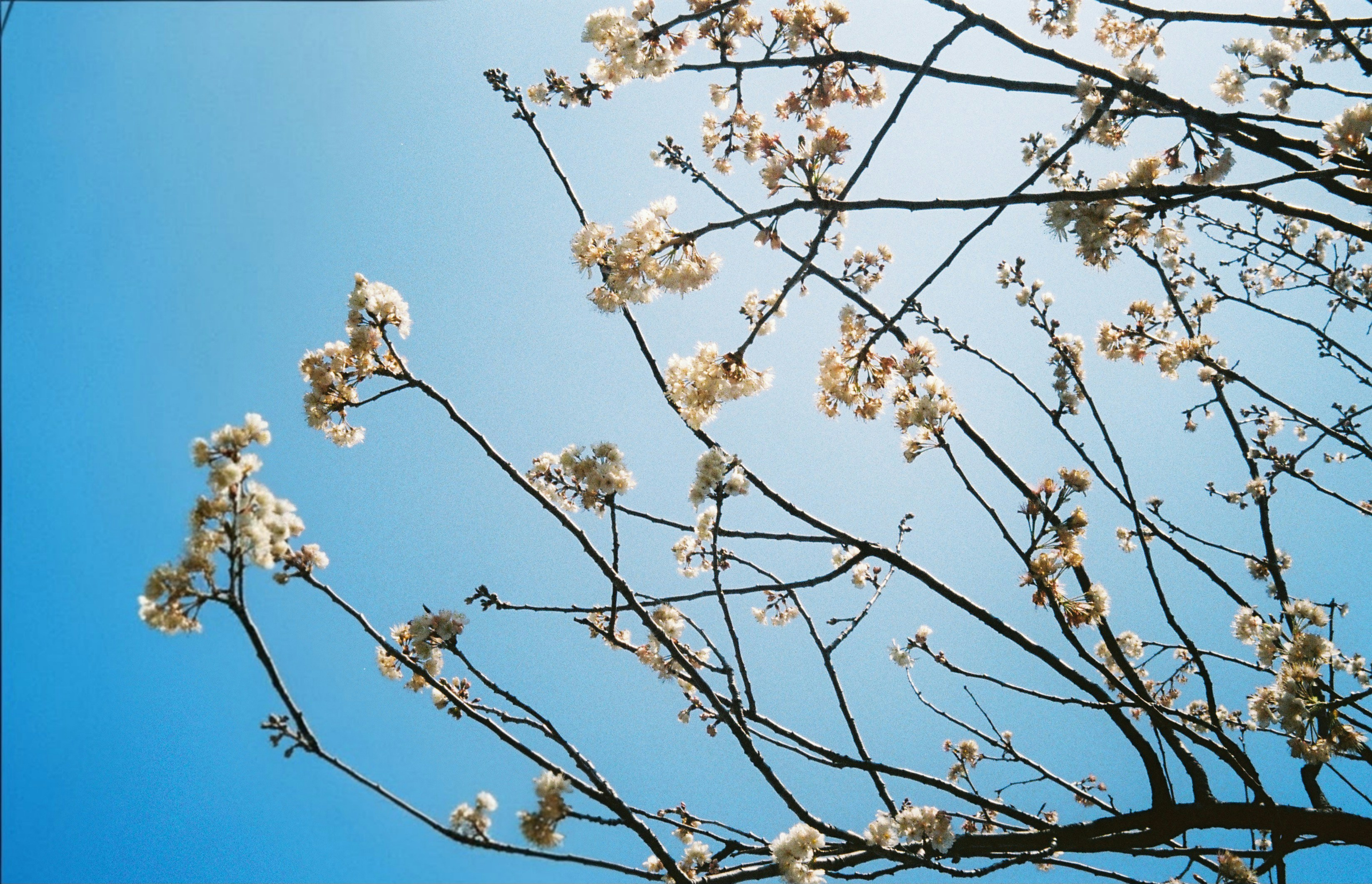 Photo by c_sritippho