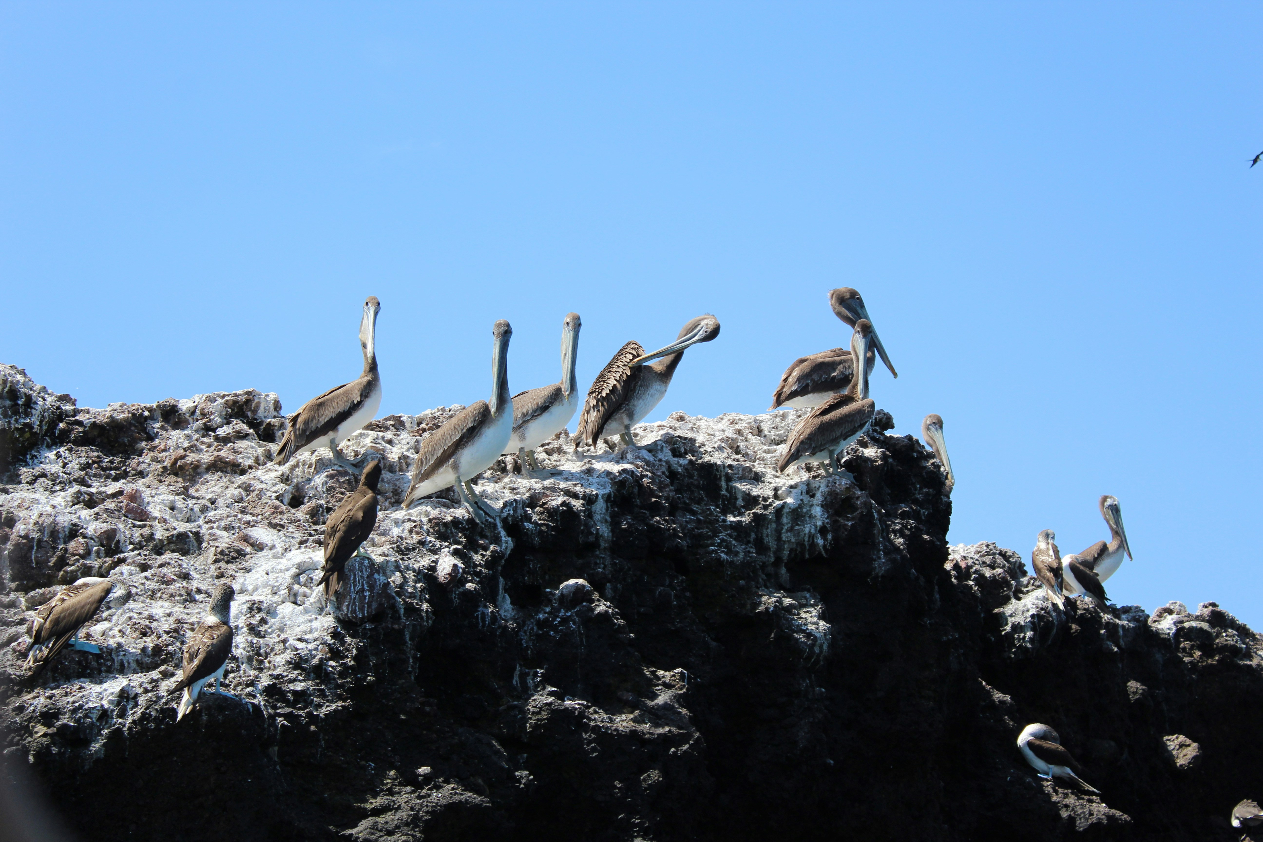 Photo by pandypez_projects