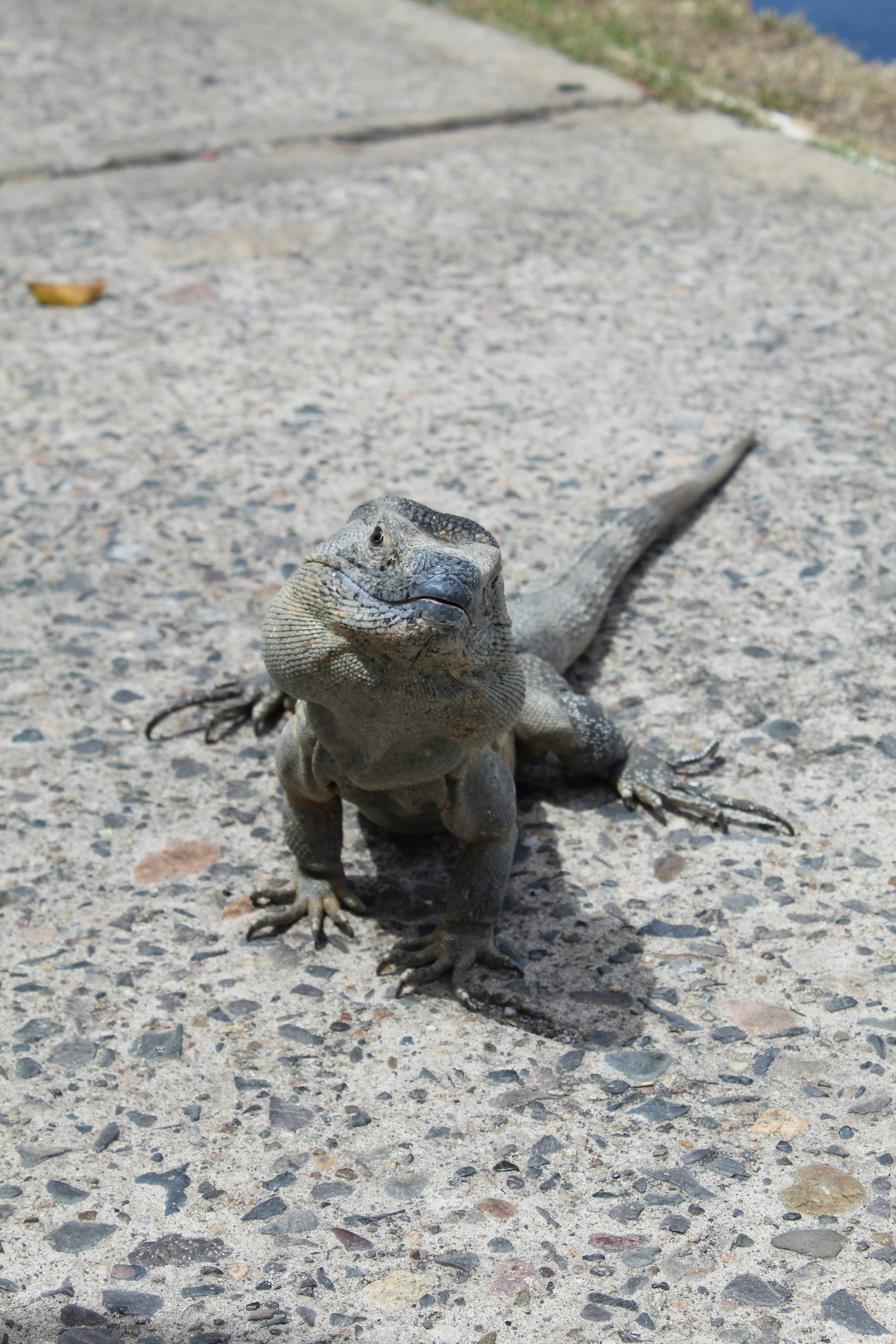 Photo by pandypez_projects