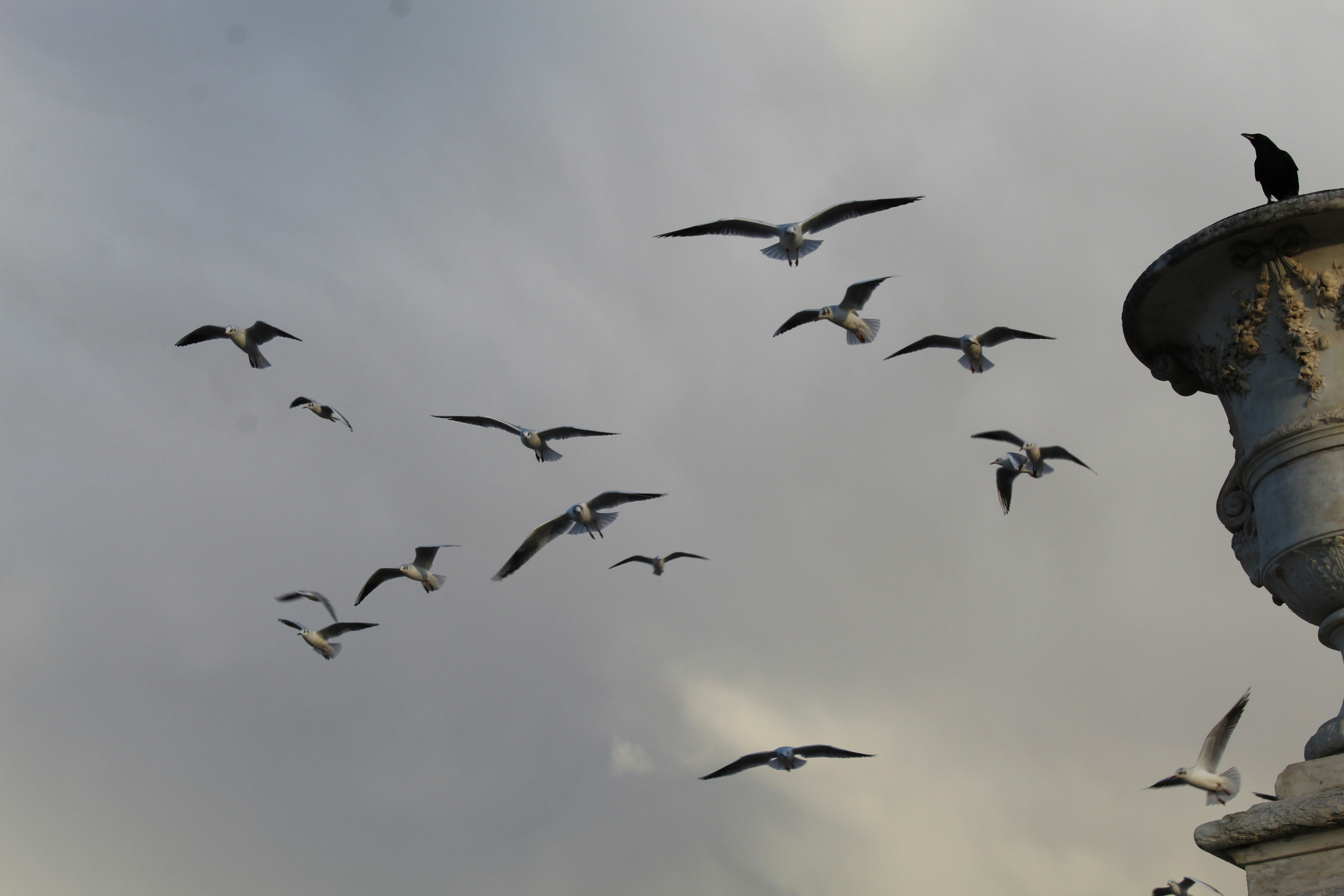 Photo by pandypez_projects