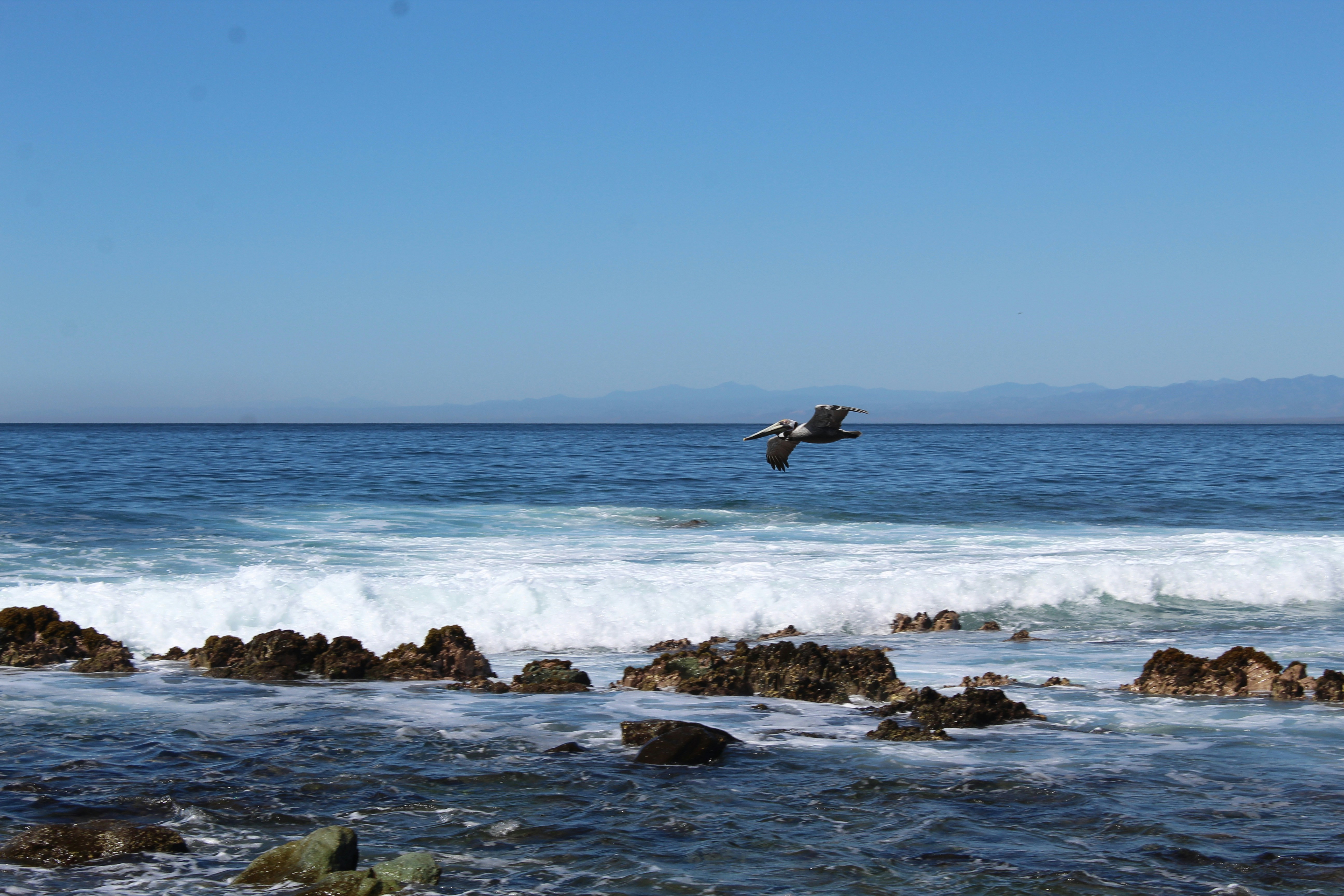 Photo by pandypez_projects