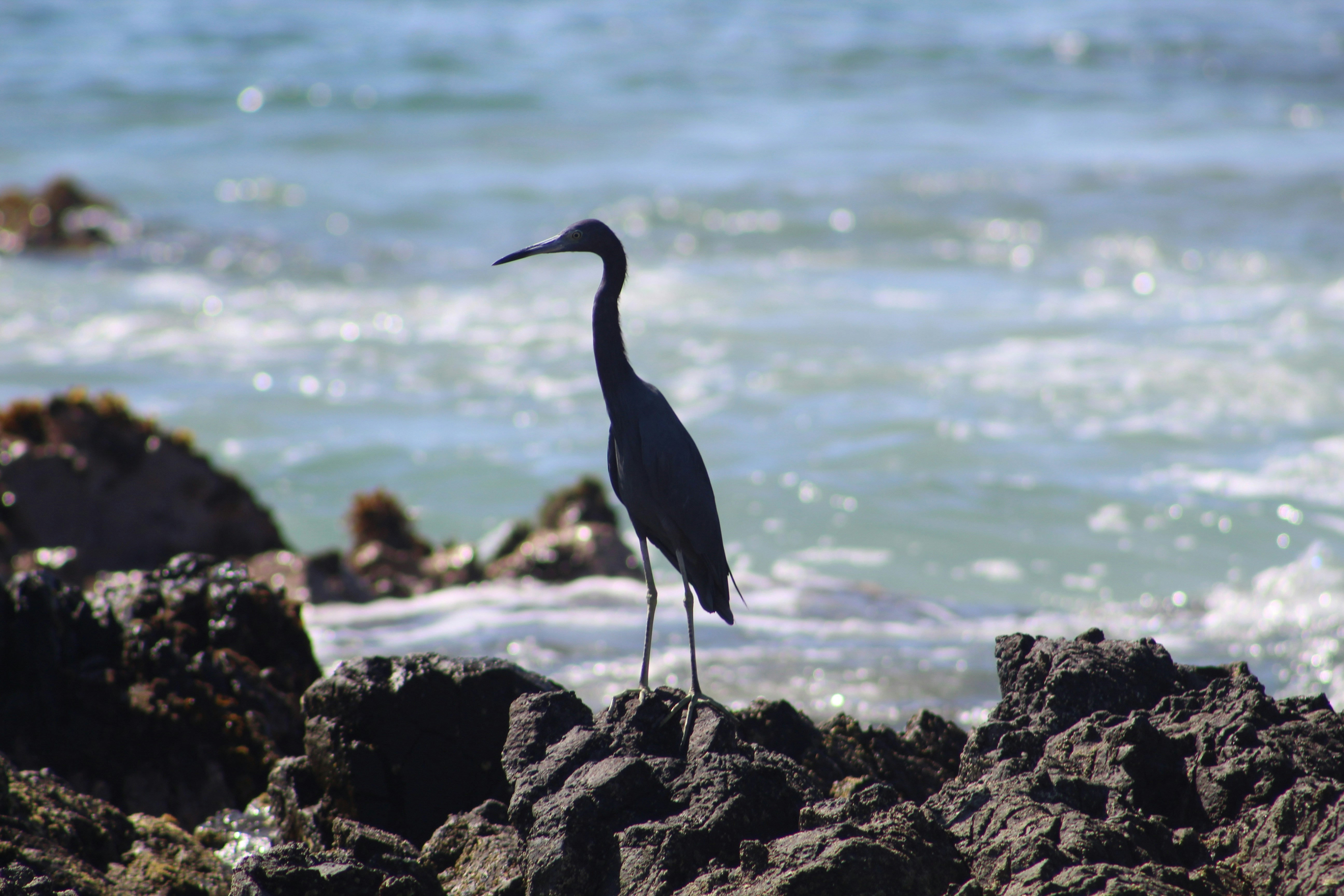 Photo by pandypez_projects