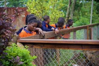 Children look over a fence at something unseen.